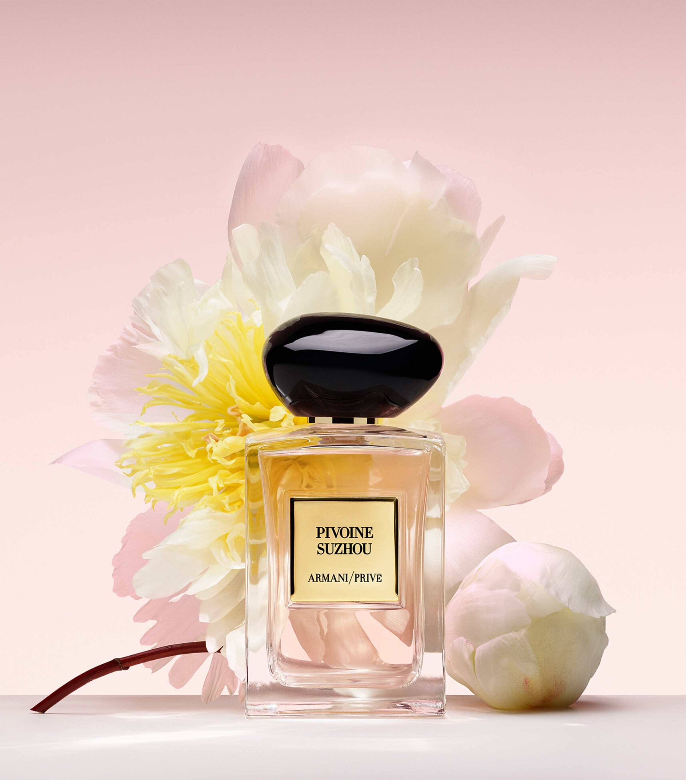 Armani Pivoine Suzhou Eau de Toilette (50ml) | Harrods UK