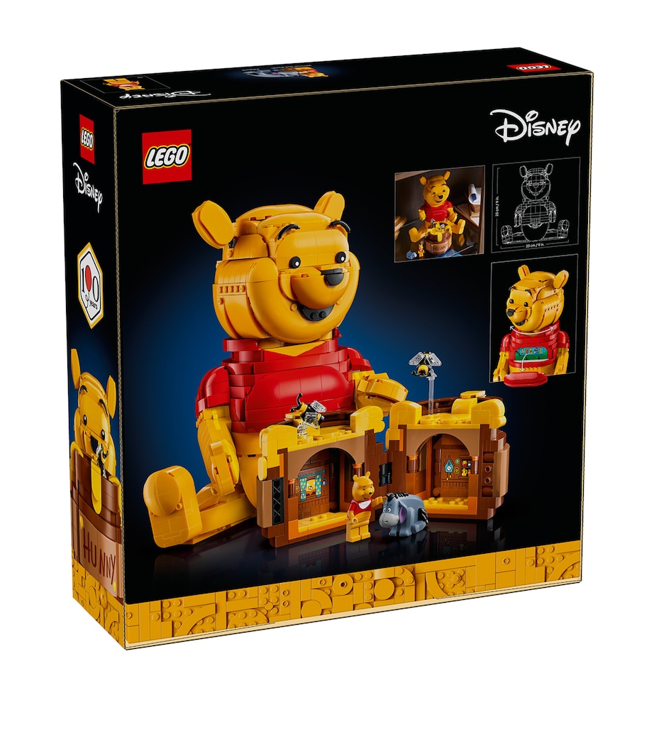 Lego LEGO Disney Winnie the Pooh 43300 Image 2