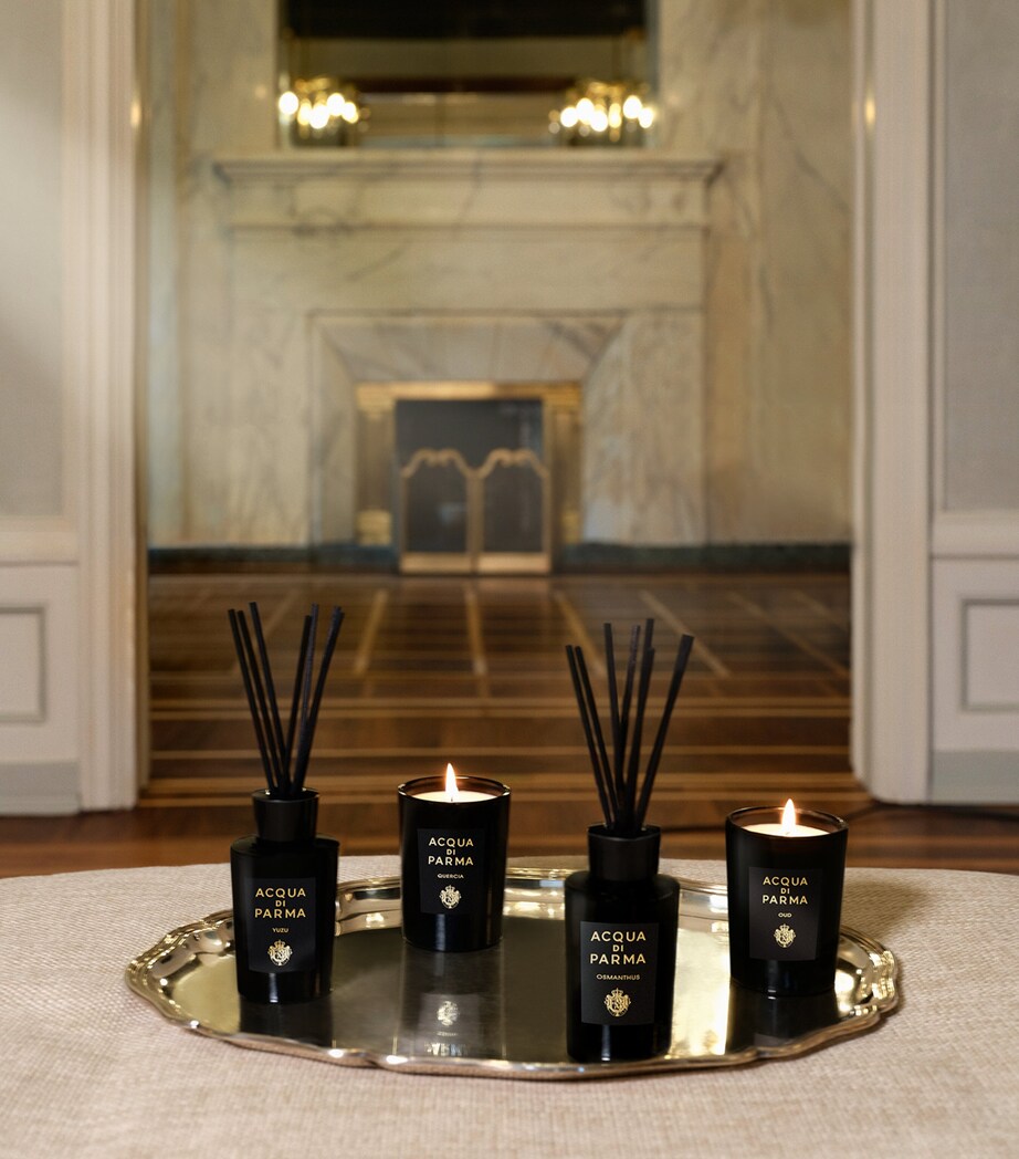 Acqua di Parma Signatures of the Sun Quercia Candle (200g) Image 5