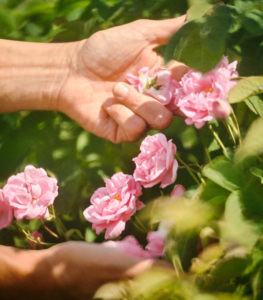 La Petite Robe Noire Eau de Toilette (100ml) NO COLOUR Image 4