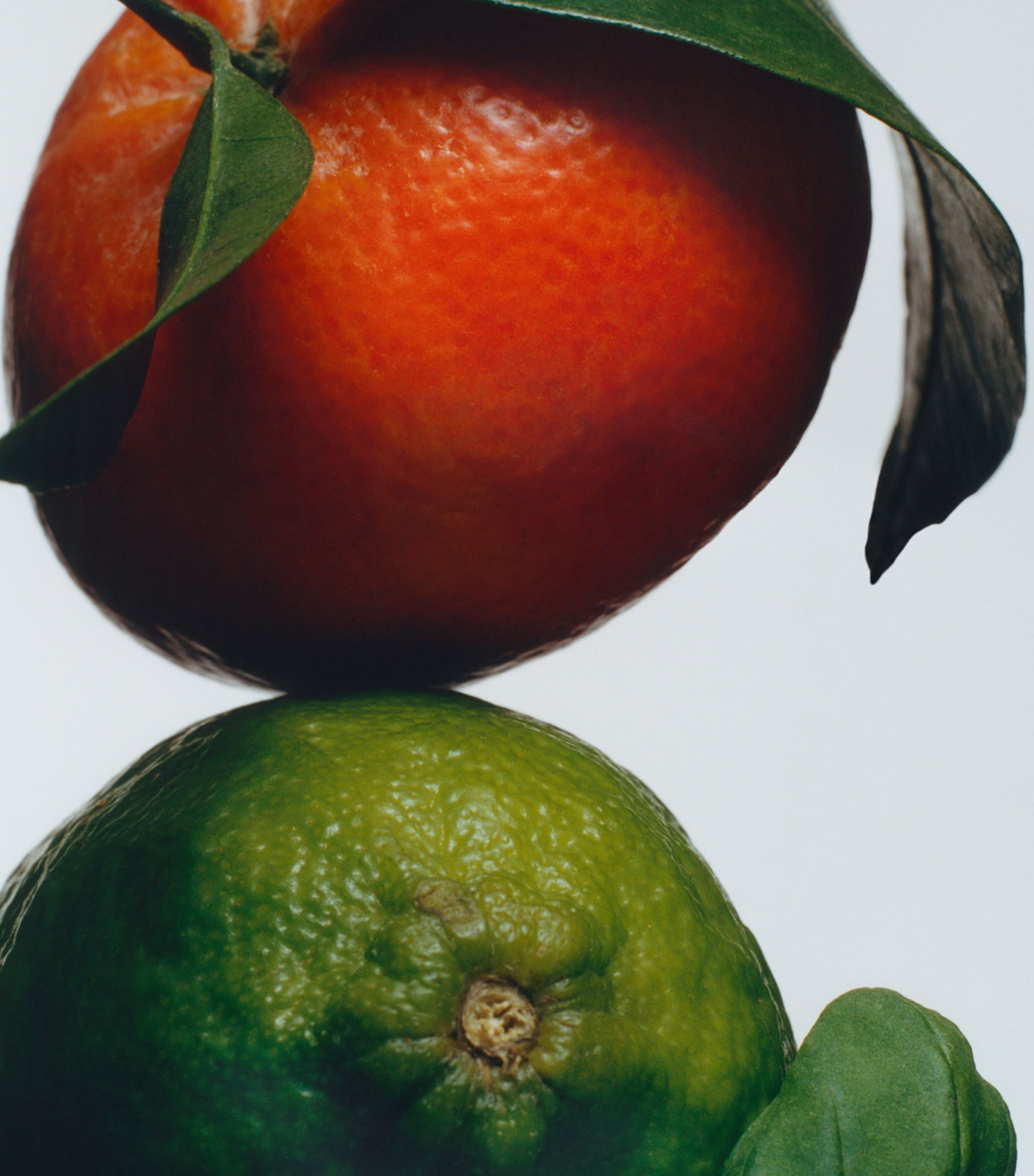 Lime Basil & Mandarin Body Crème (50ml) NO COLOUR Image 3