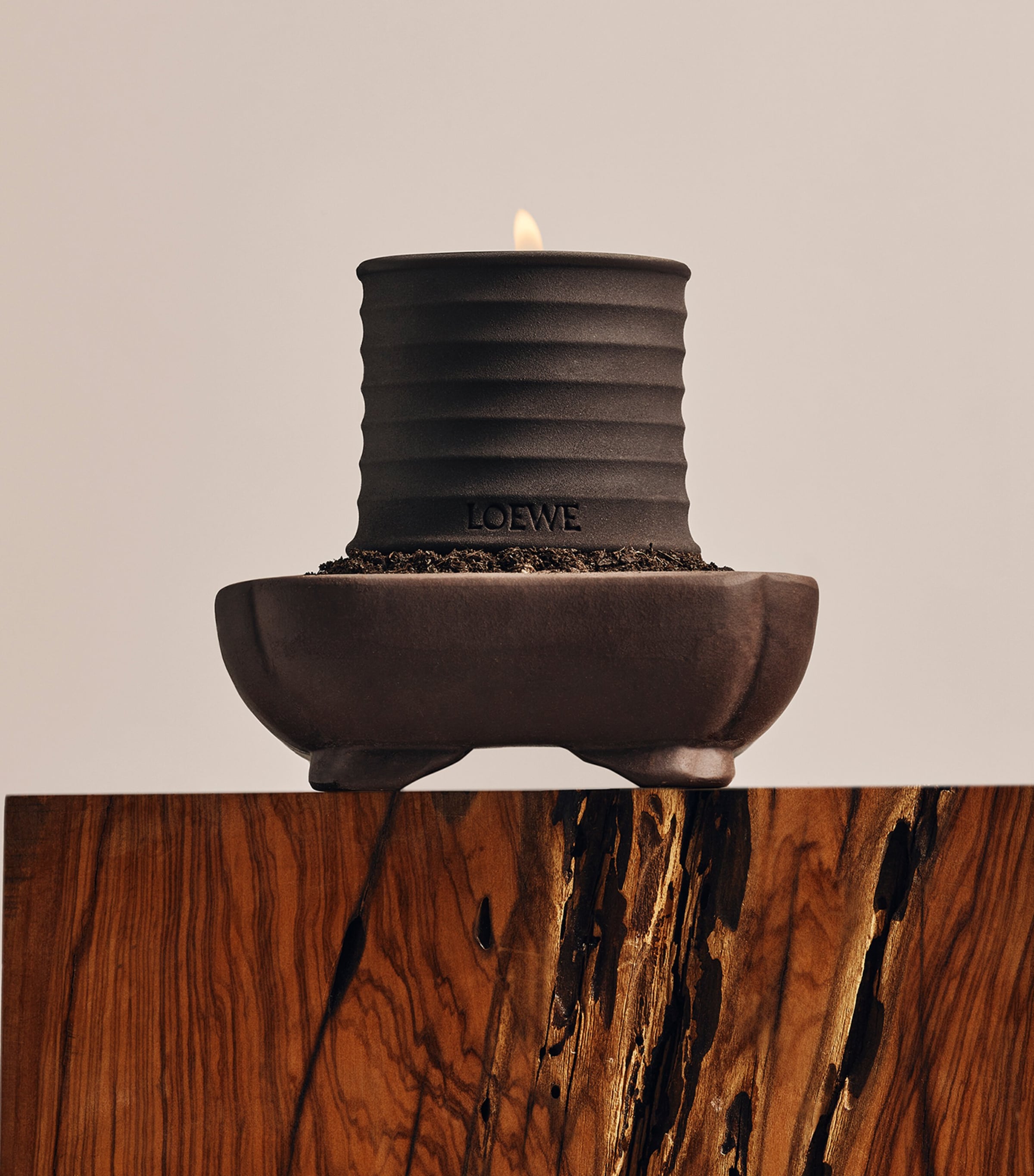 LOEWE Dendrochilum Orchid Candle (170g) | Harrods DE