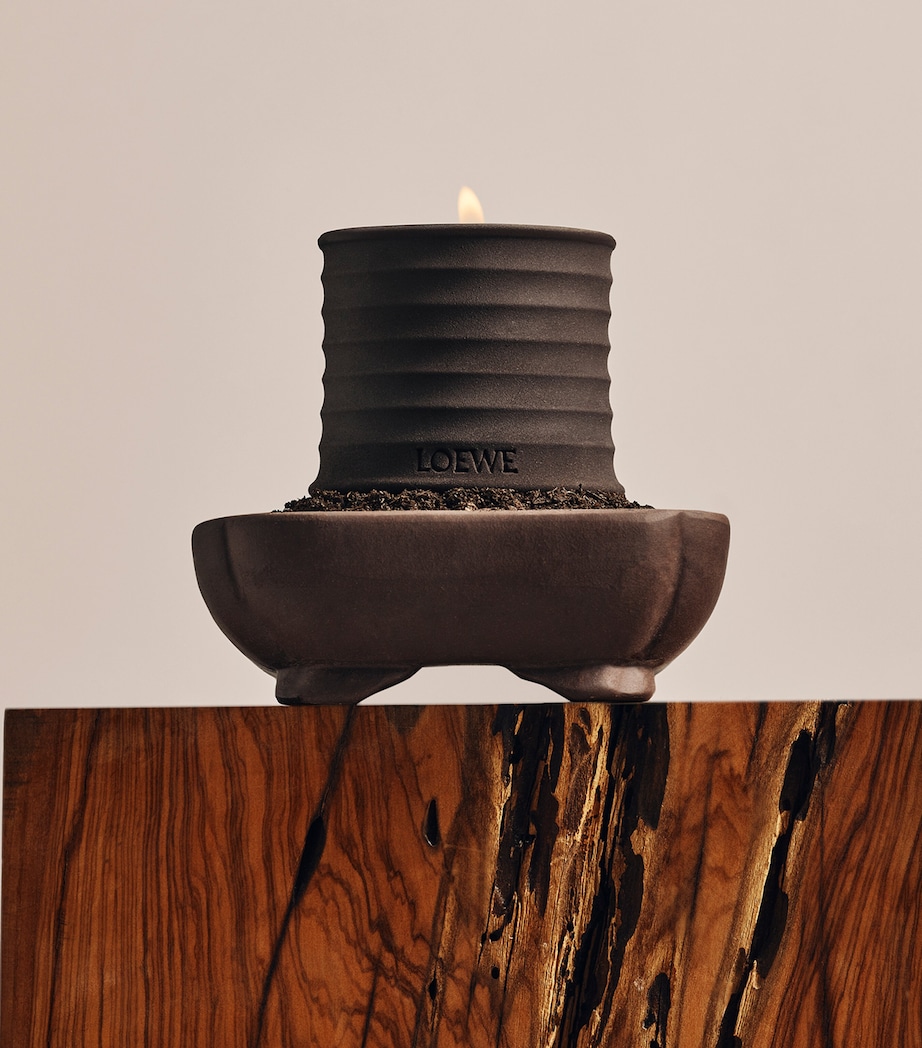 Small Dendrochilum Orchid Scented Candle NO COLOUR Image 4