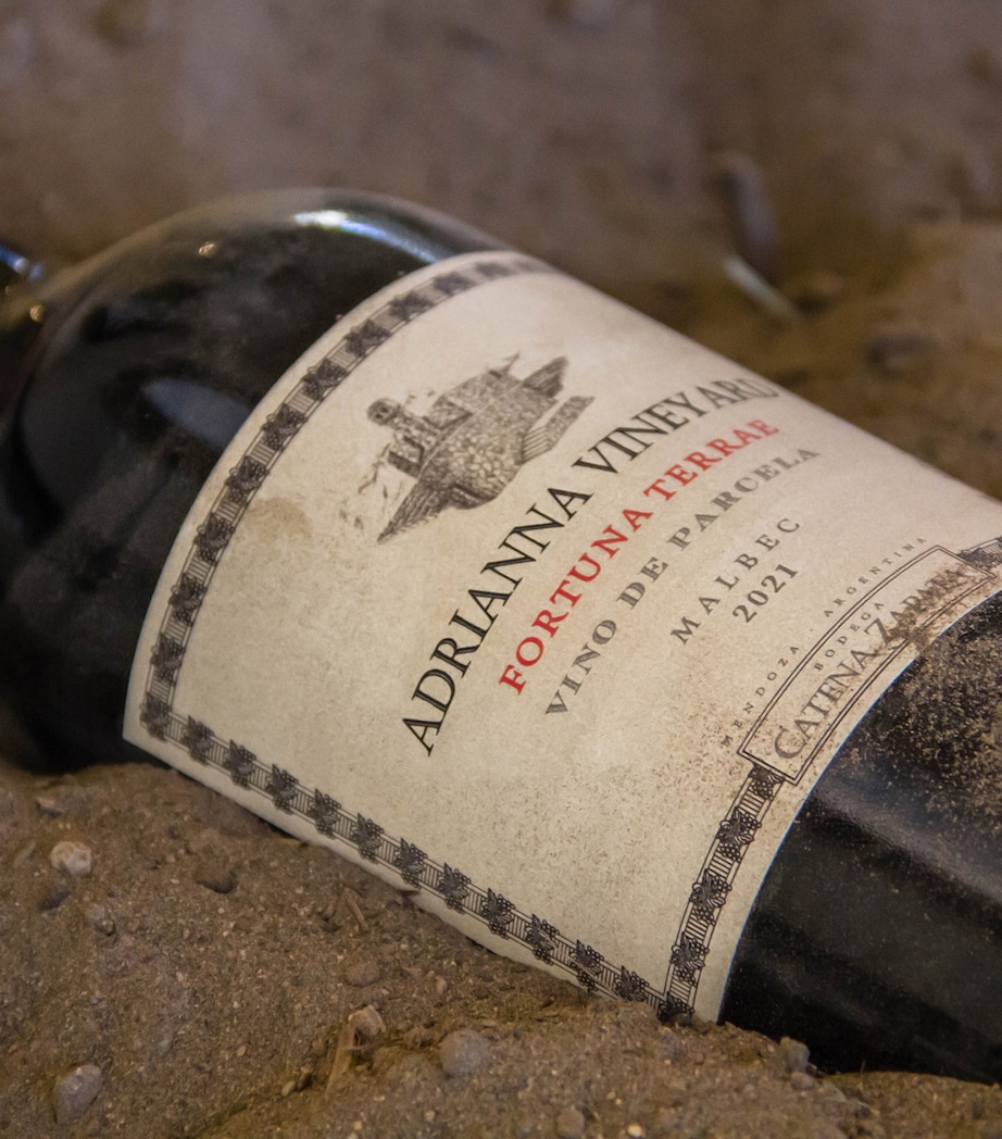 Catena Adrianna Vineyard Fortuna Terrae Malbec 2021 (75cl) – Mendoza, Argentina Image 4