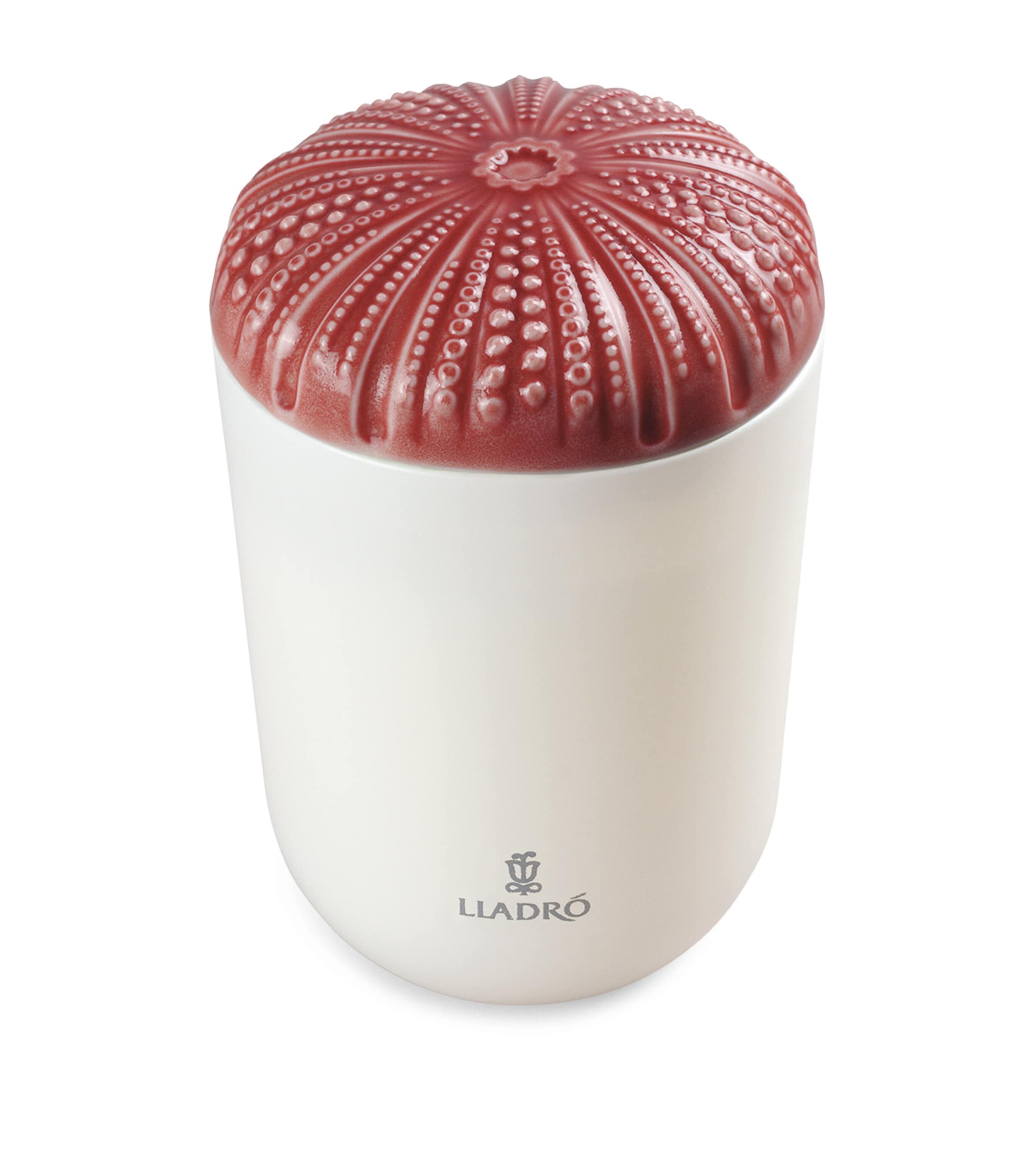 Lladró Echoes of Nature Unbreakable Spirit Scented Candle (200g) White / Blue Image 1
