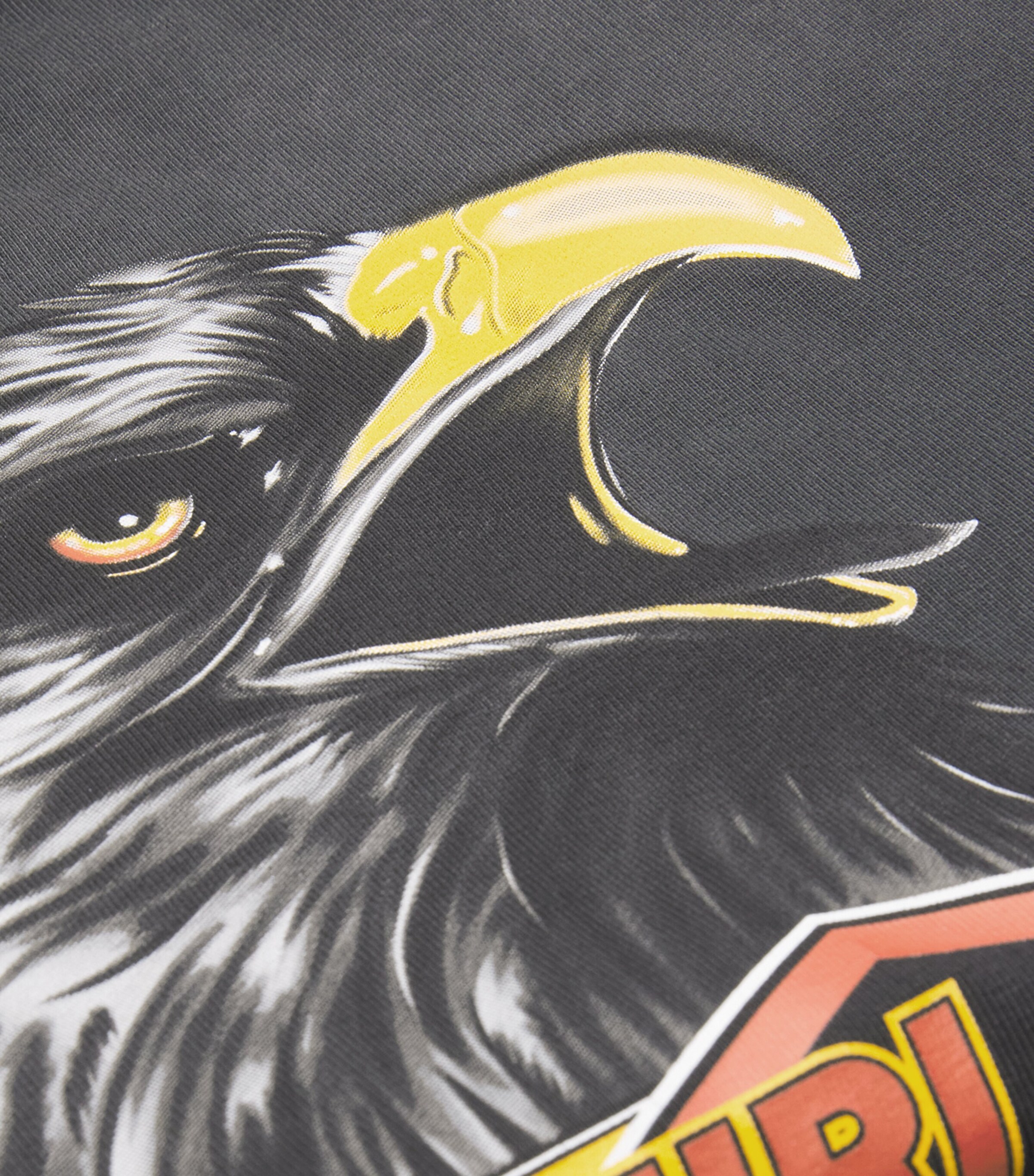 AMIRI Black Oversized Cotton Eagle T-Shirt | Harrods US