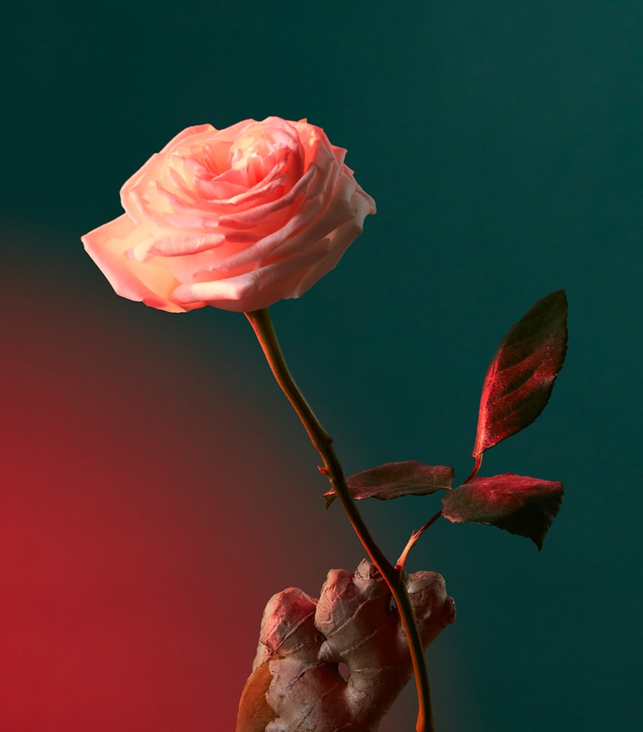 Liquid Love Eau de Parfum (100ml) NO COLOUR Image 6