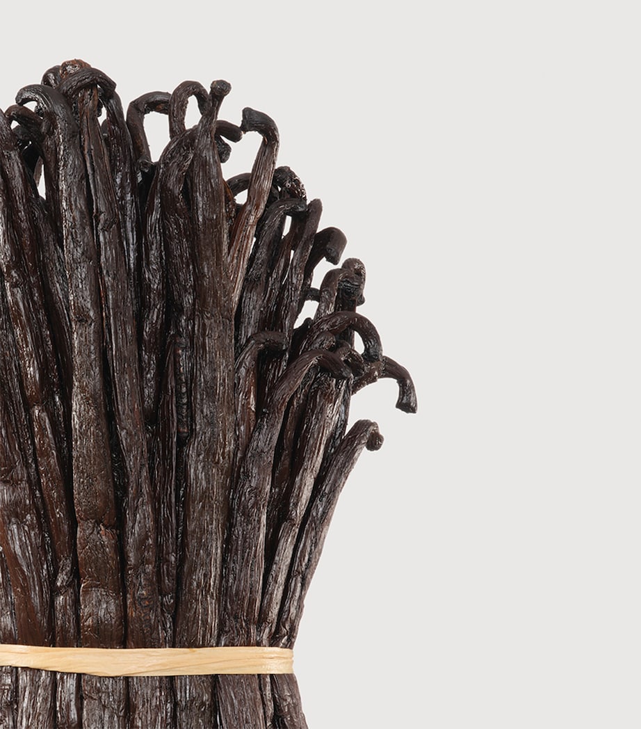 Vanilla Powder Extrait de Parfum (100ml) NO COLOUR Image 3