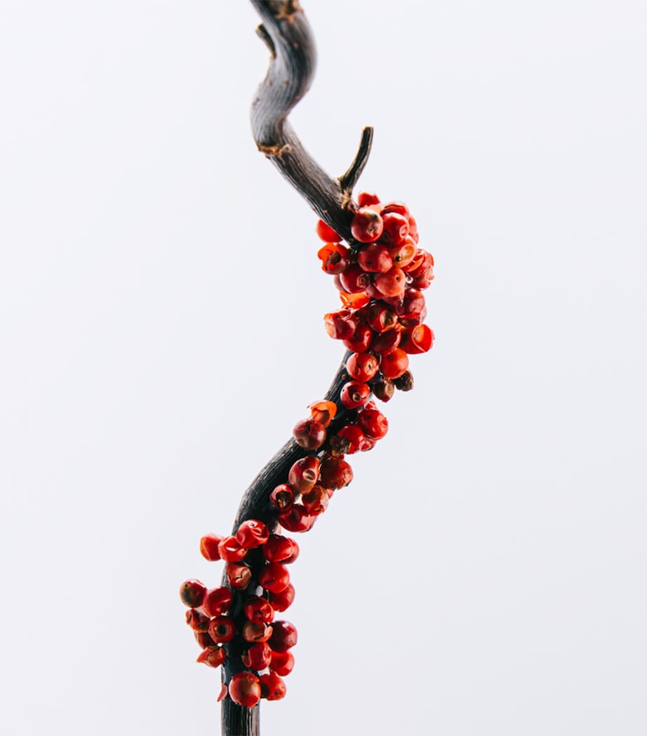 7 Eau de Toilette (100Ml) NO COLOUR Image 3