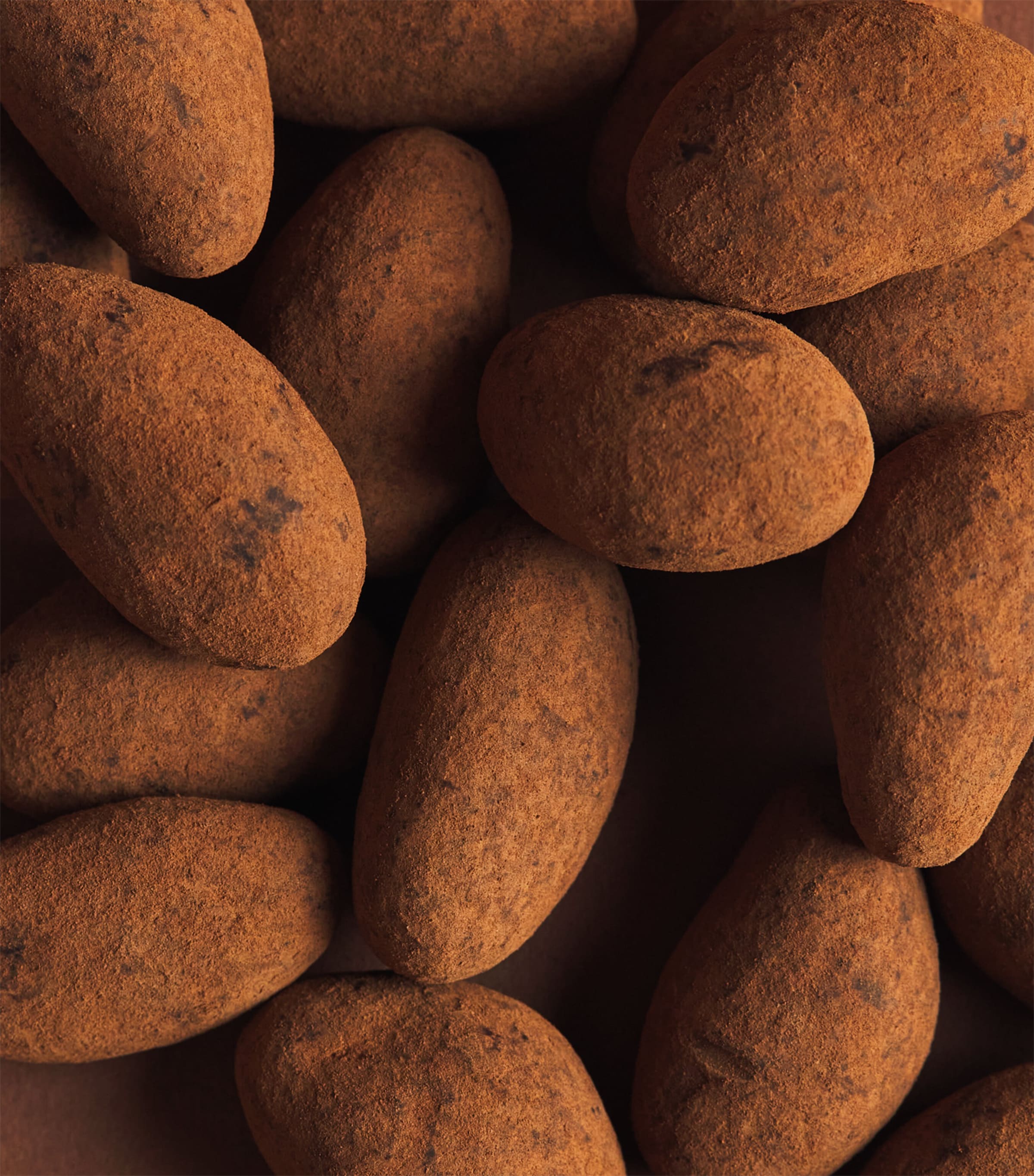 Harrods Cocoa-Dusted Brazil Nuts (325g) Image 3