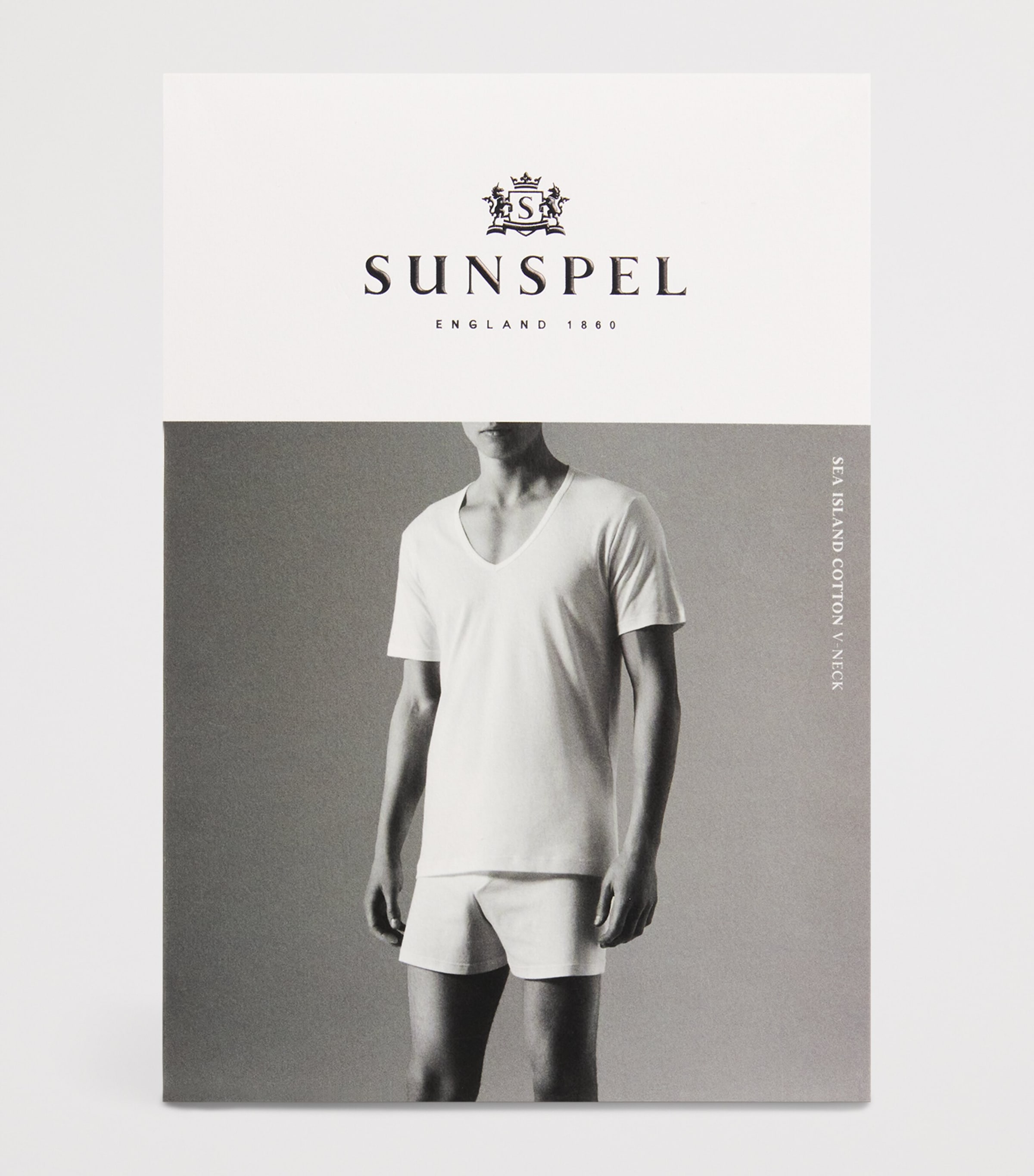 Sea Island Cotton V-Neck T-Shirt WHITE Image 5