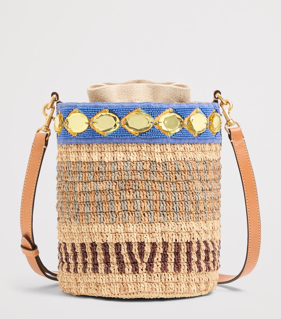 Valentino Garavani Small Raffia Embellished Bucket Bag Image 3