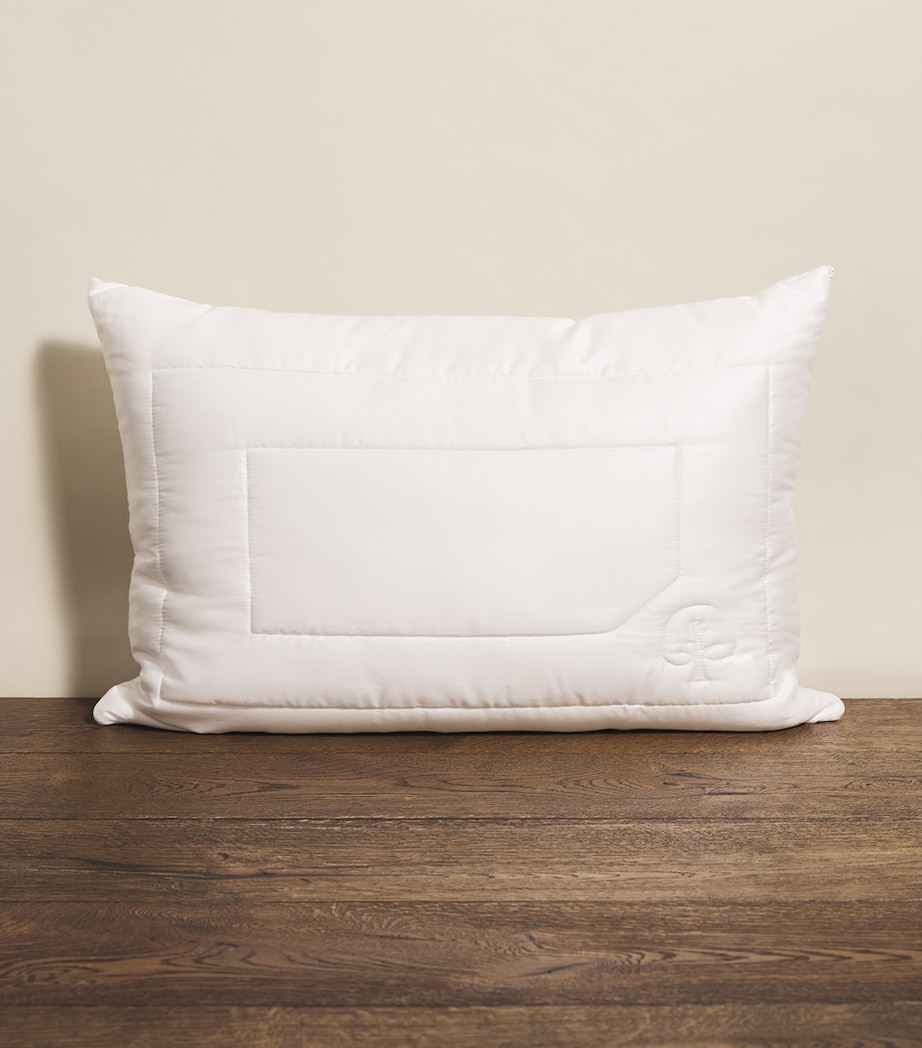 Eco Control Standard Pillow (50cm x 75cm) WHITE Image 1