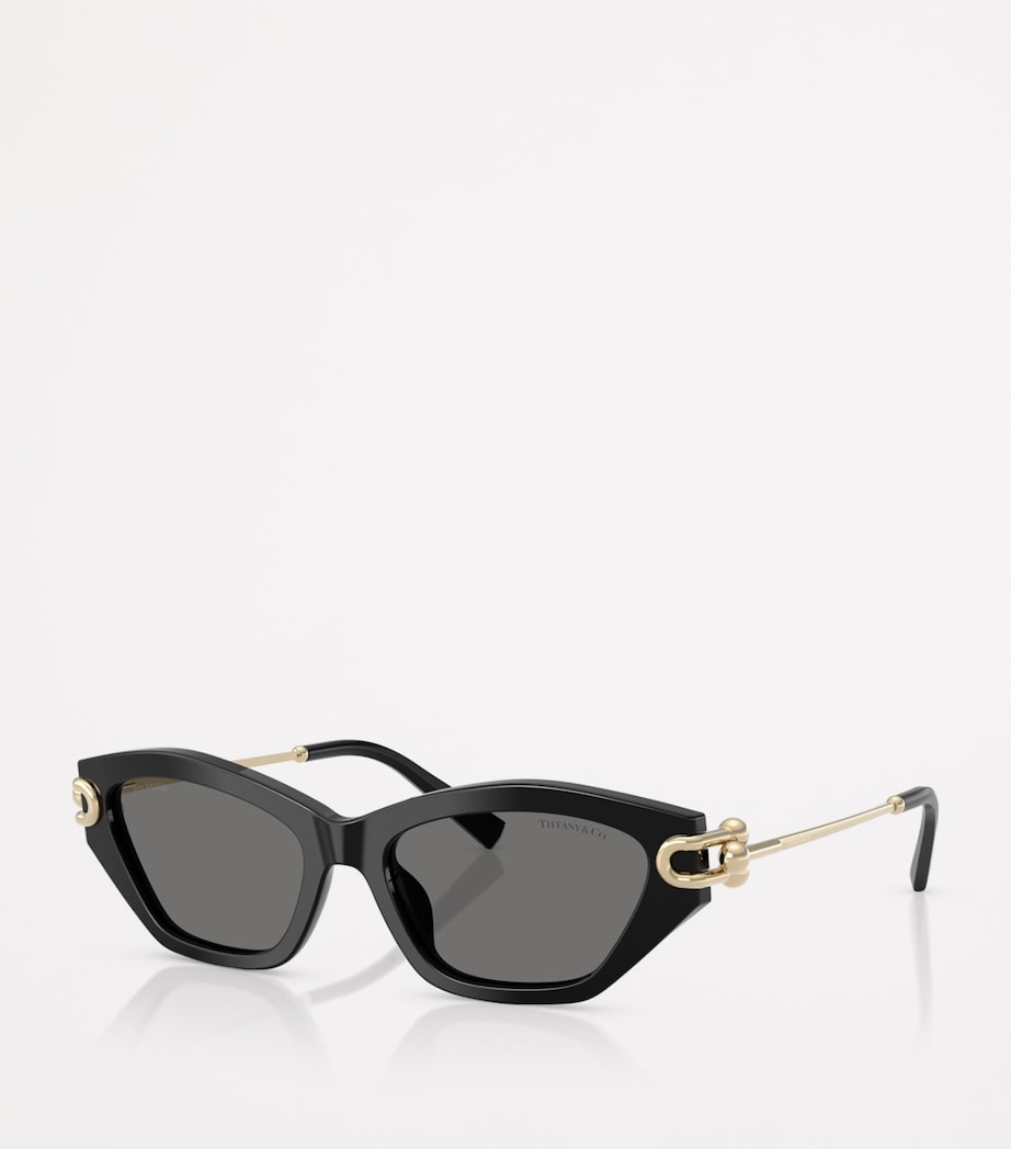 Acetate Cat Eye TF4231U Sunglasses 800181 Image 2