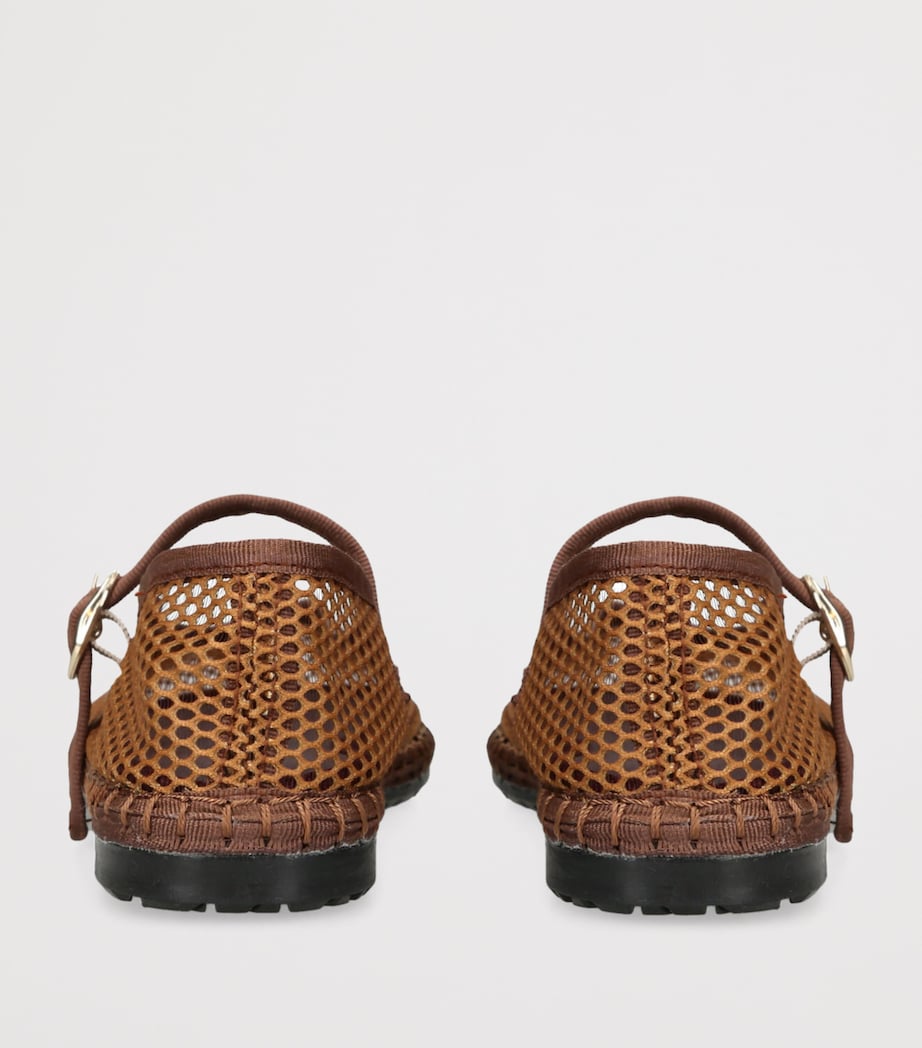 Mesh Isabella Ballet Flats DK.BRN COM Image 2