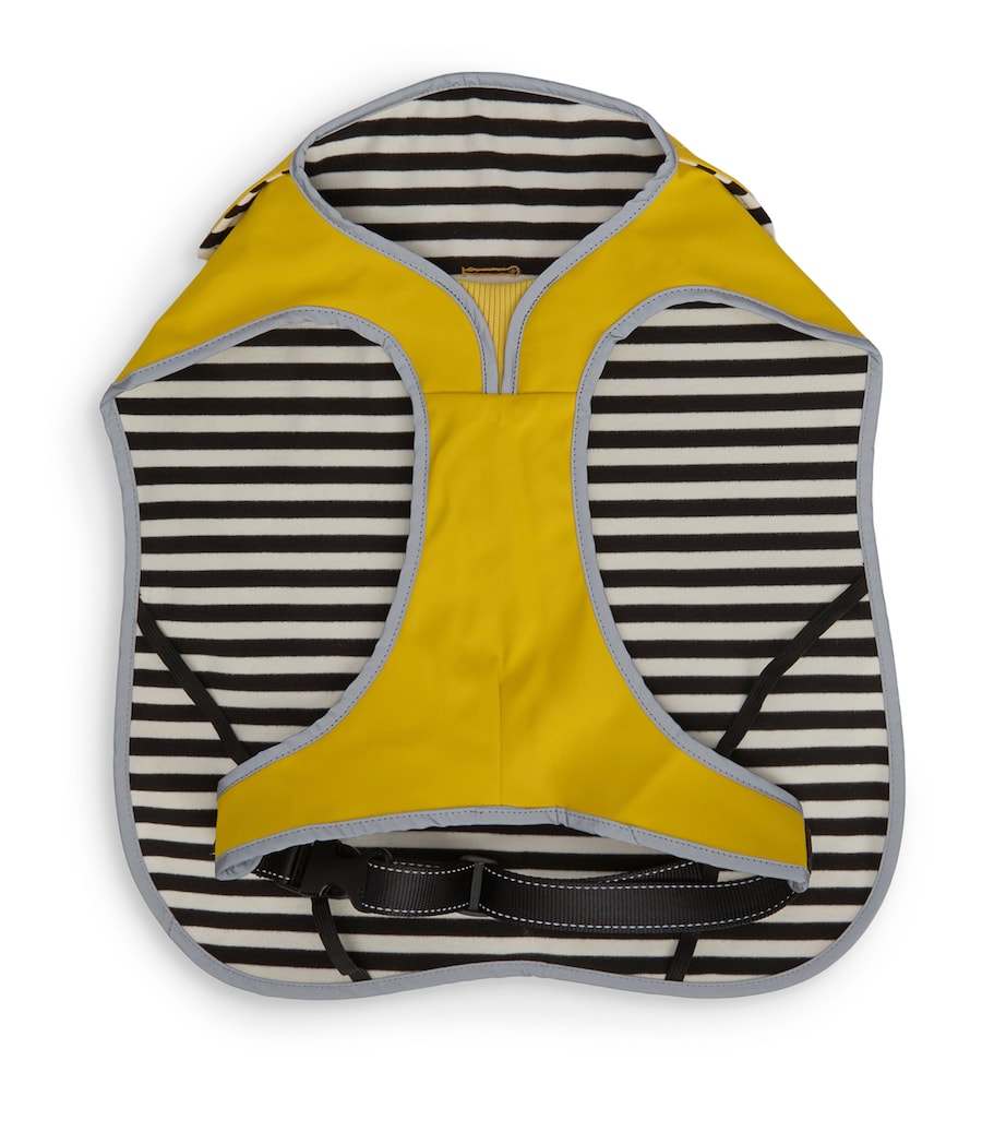 Waterproof Evie Coat LIMEADE Image 5