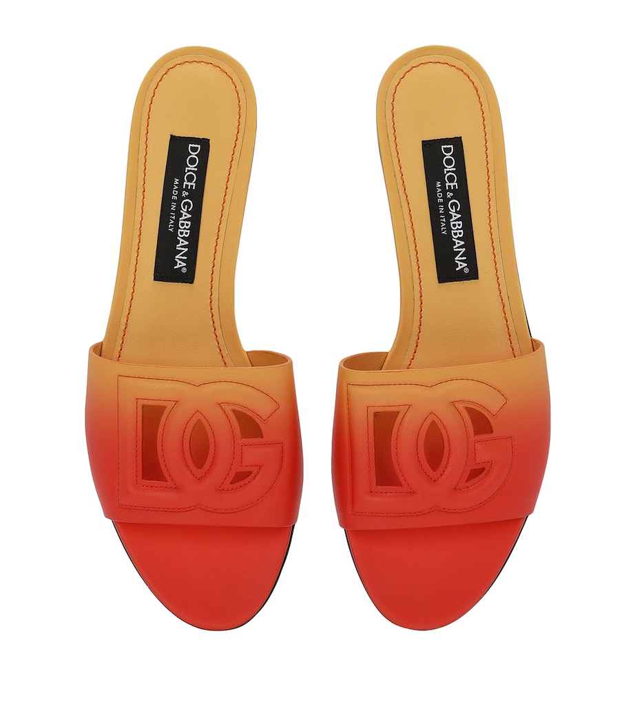 Leather DG Slides HO5AC-DG DEGRADE' AR Image 4