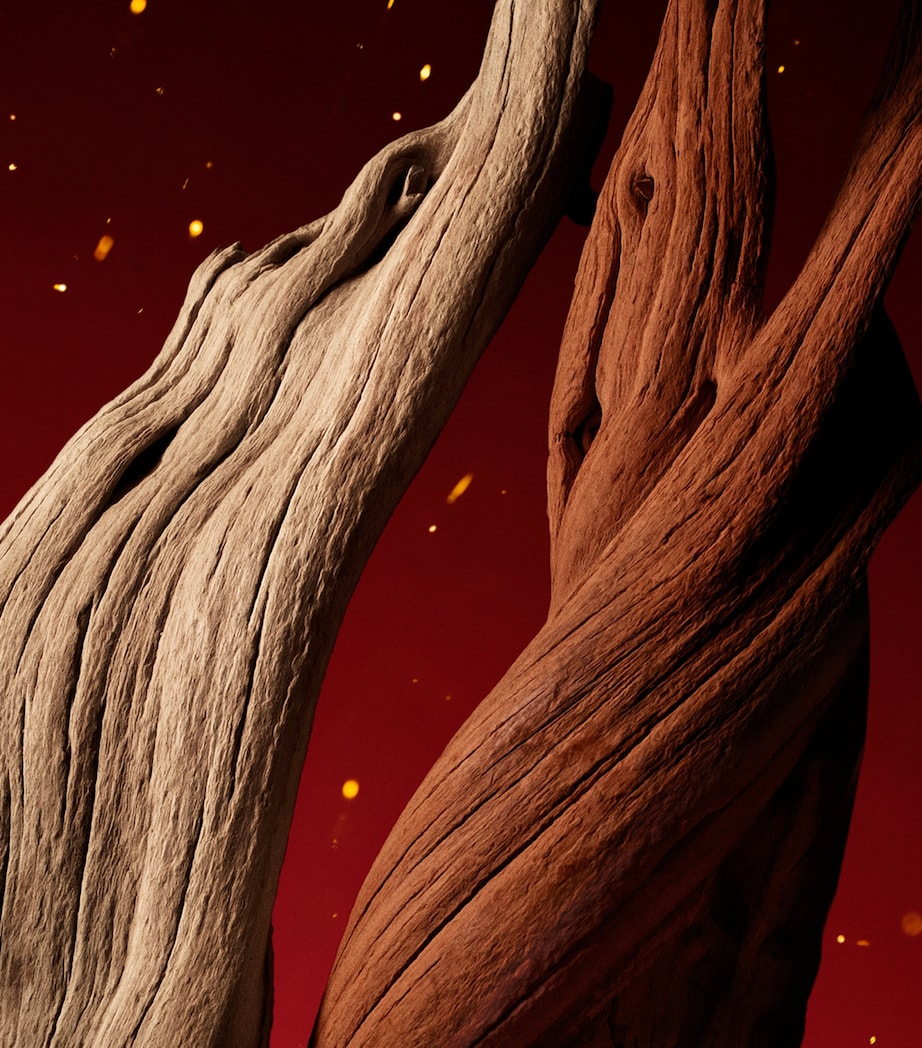 The Alchemist’s Garden Lignum Idealis Eau de Parfum (100ml) NO COLOUR Image 4