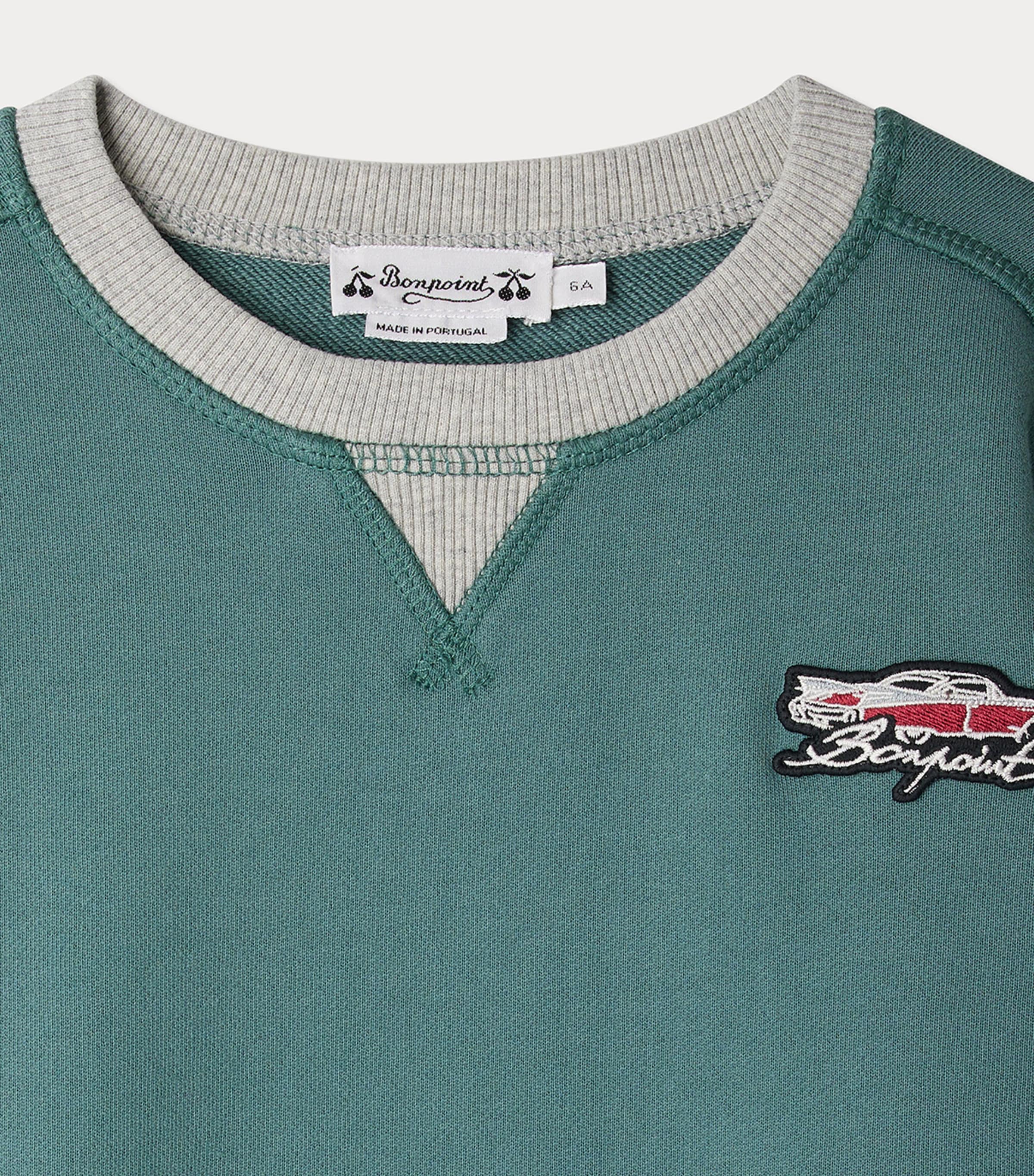 Cotton Erol Sweatshirt (4-8 Years) VERT DE GRIS Image 3