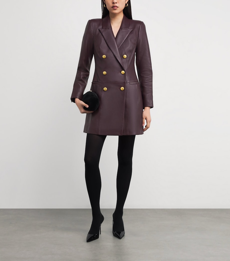 Leather Tora Mini Dress DMLB DARK MALBEC Image 2