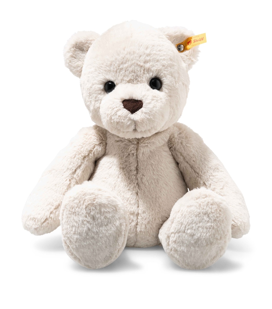 Robby Teddy Bear (42cm) MULTI Image 1
