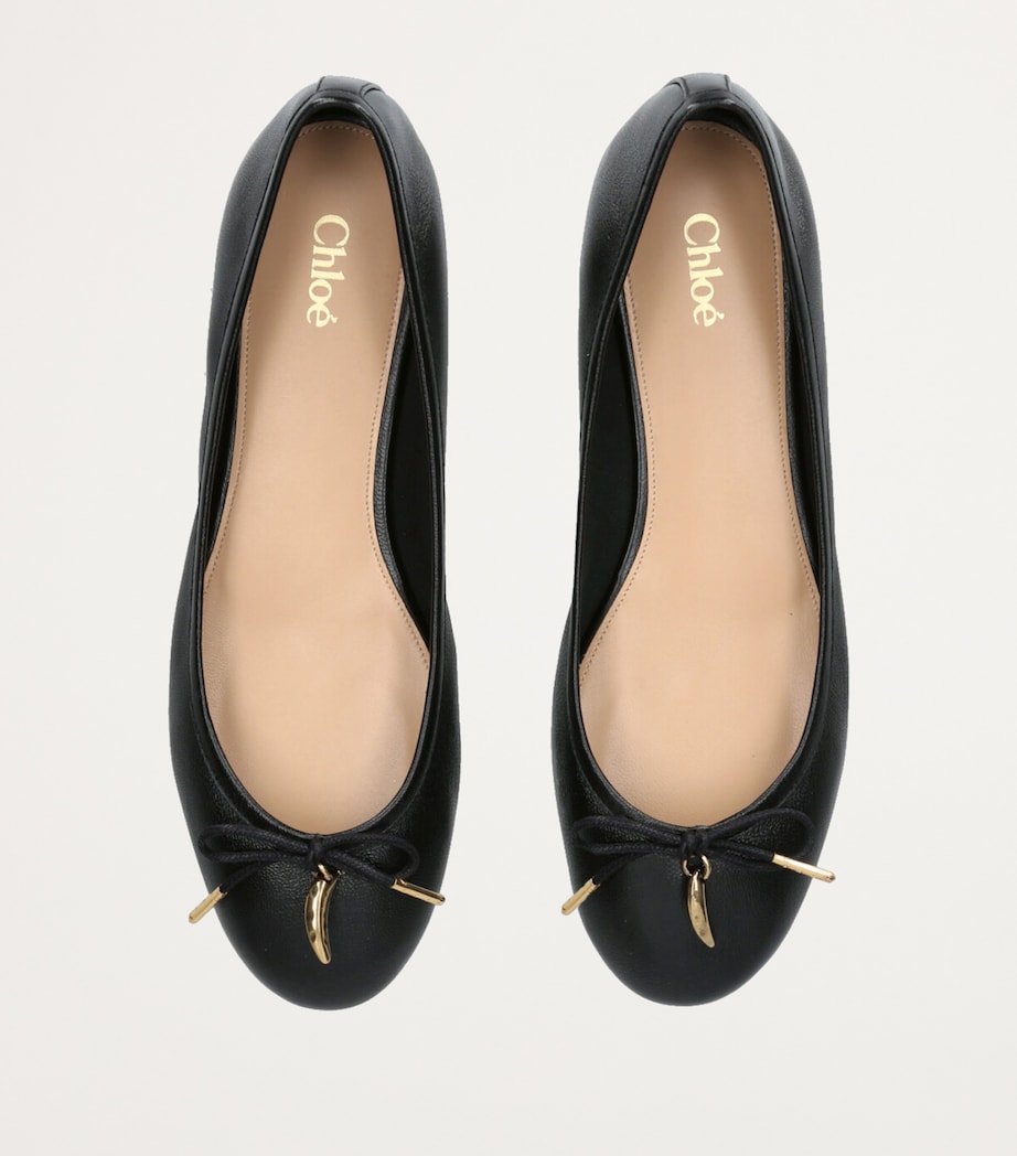 Leather Iris Ballet Flats BLACK Image 4