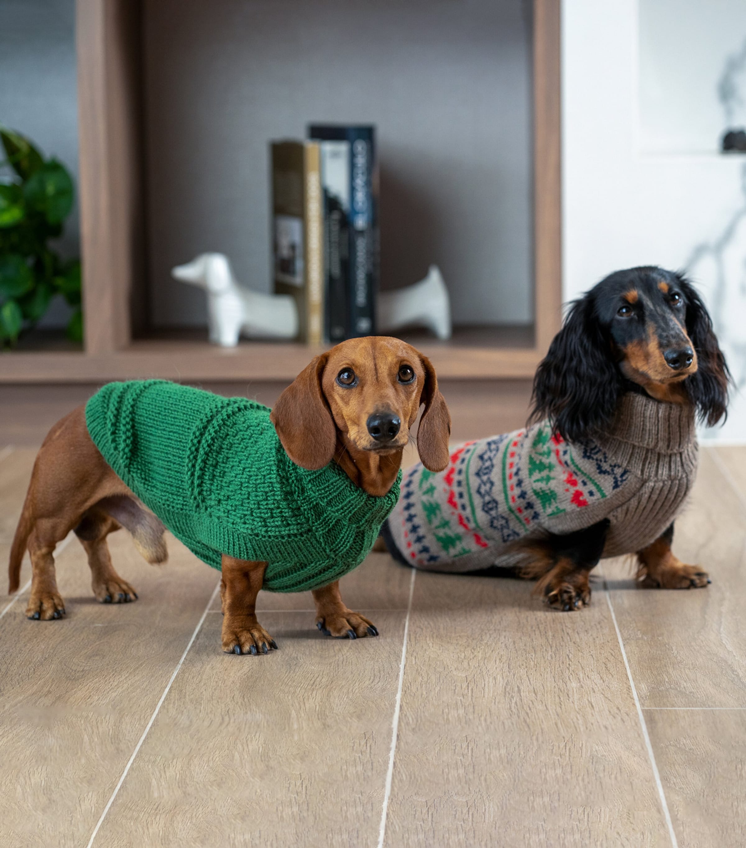 ALQO WASI Alpaca-Blend Oscar Dog Sweater (Extra Small) Green Image 3