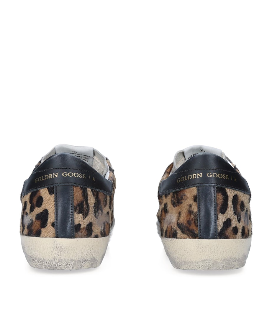 Leather Leopard Print Superstar Sneakers DK.BRN COM Image 2