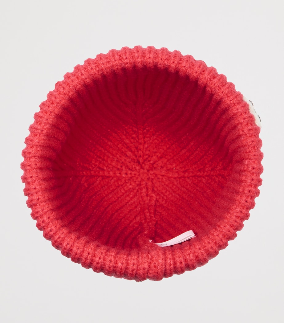 Knitted Felt Character Beanie Hat 75 Image 3