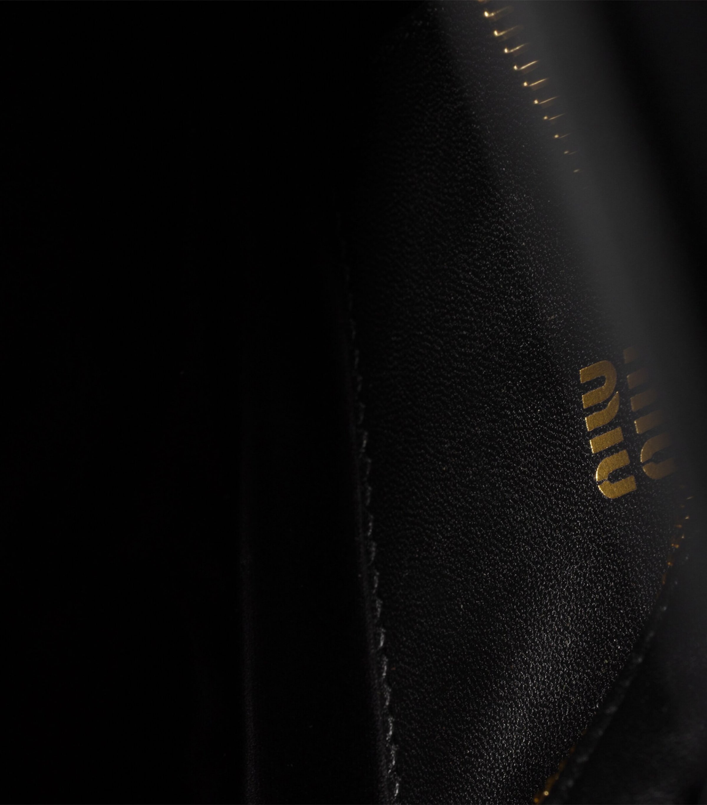 Miu Miu Matelassé Nappa Leather Pouch Image 4