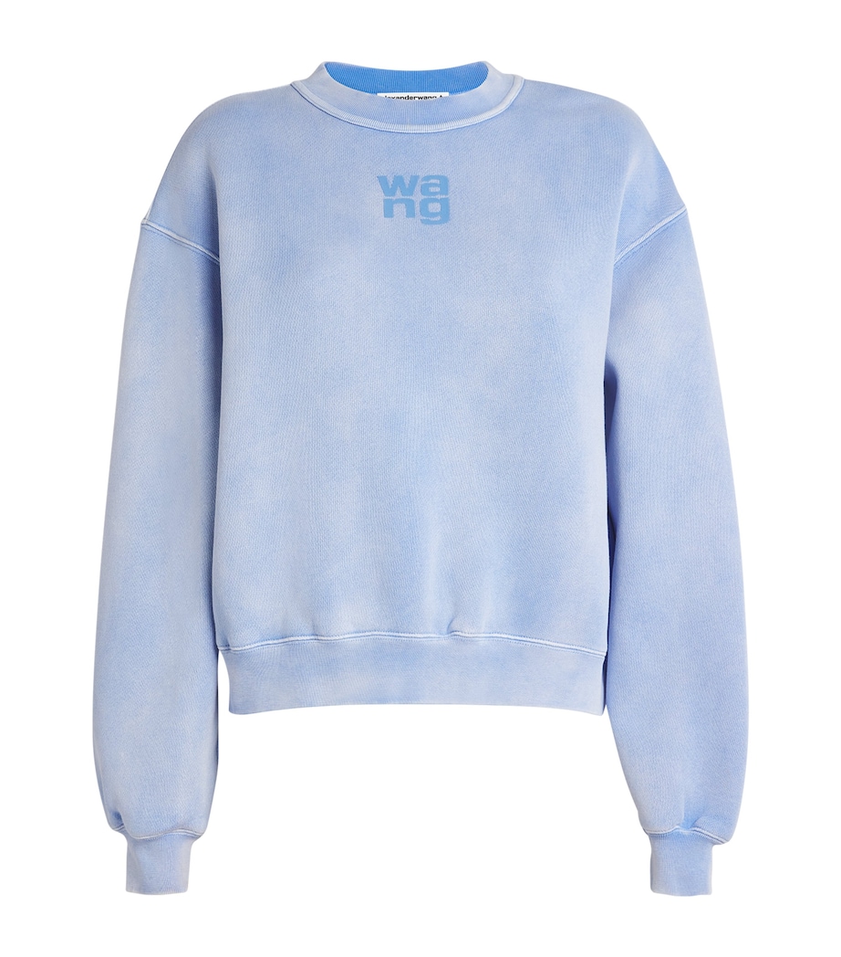 Puff Print Terry Sweatshirt WASHED PALE BLUE Image 1