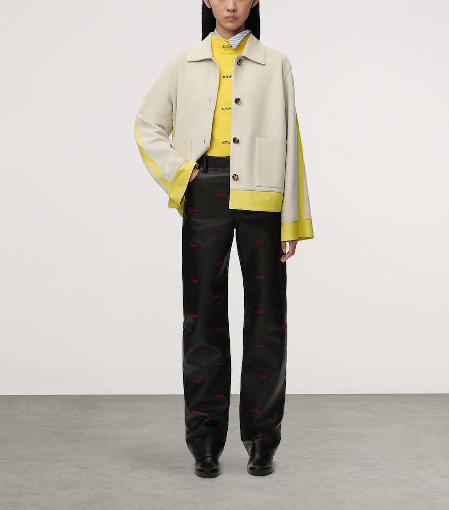 LOEWE Womens Suede and Leather Panelled Jacket Light Grey Image 2