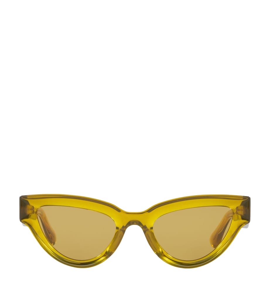Injected 06J000413 Sunglasses 1800Y1 Image 1