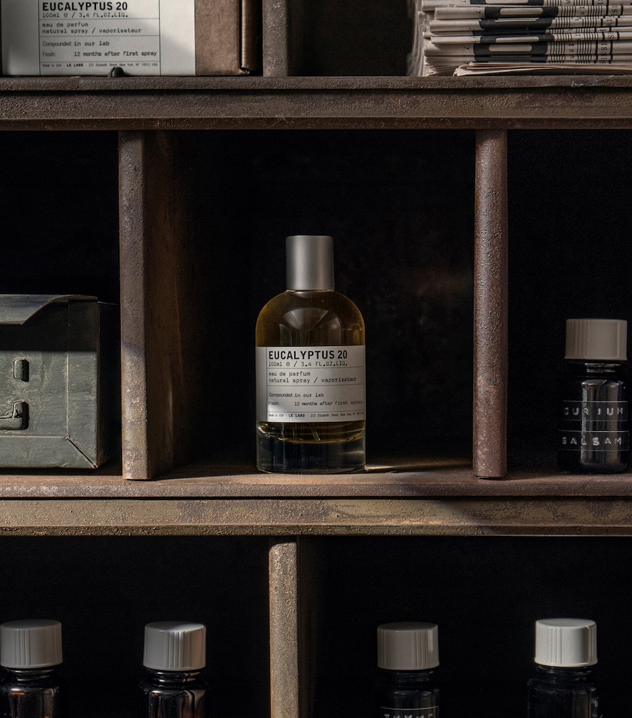 Eucalyptus 20 Eau de Parfum (100ml) NO COLOUR Image 4