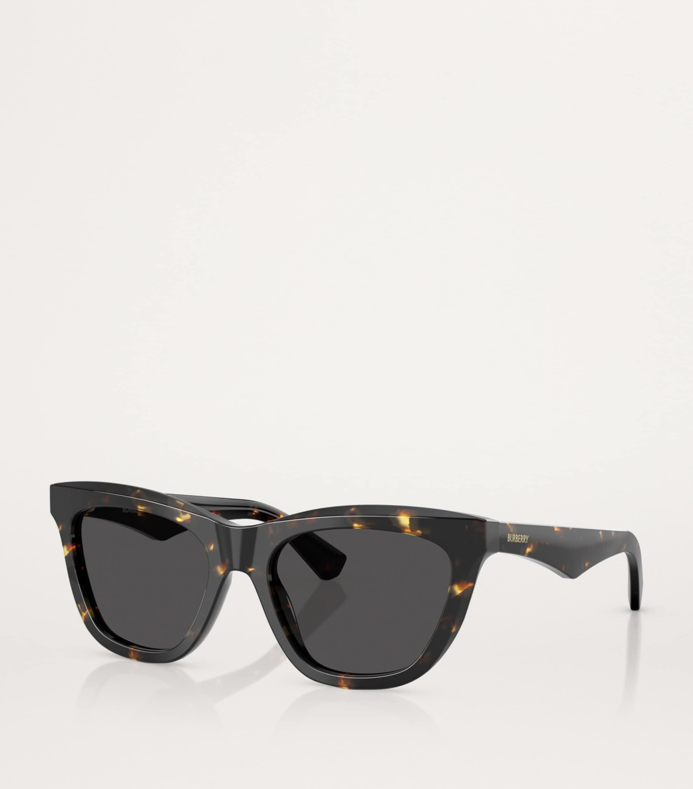 Acetate Wayfarer Sunglasses 410687 Image 2