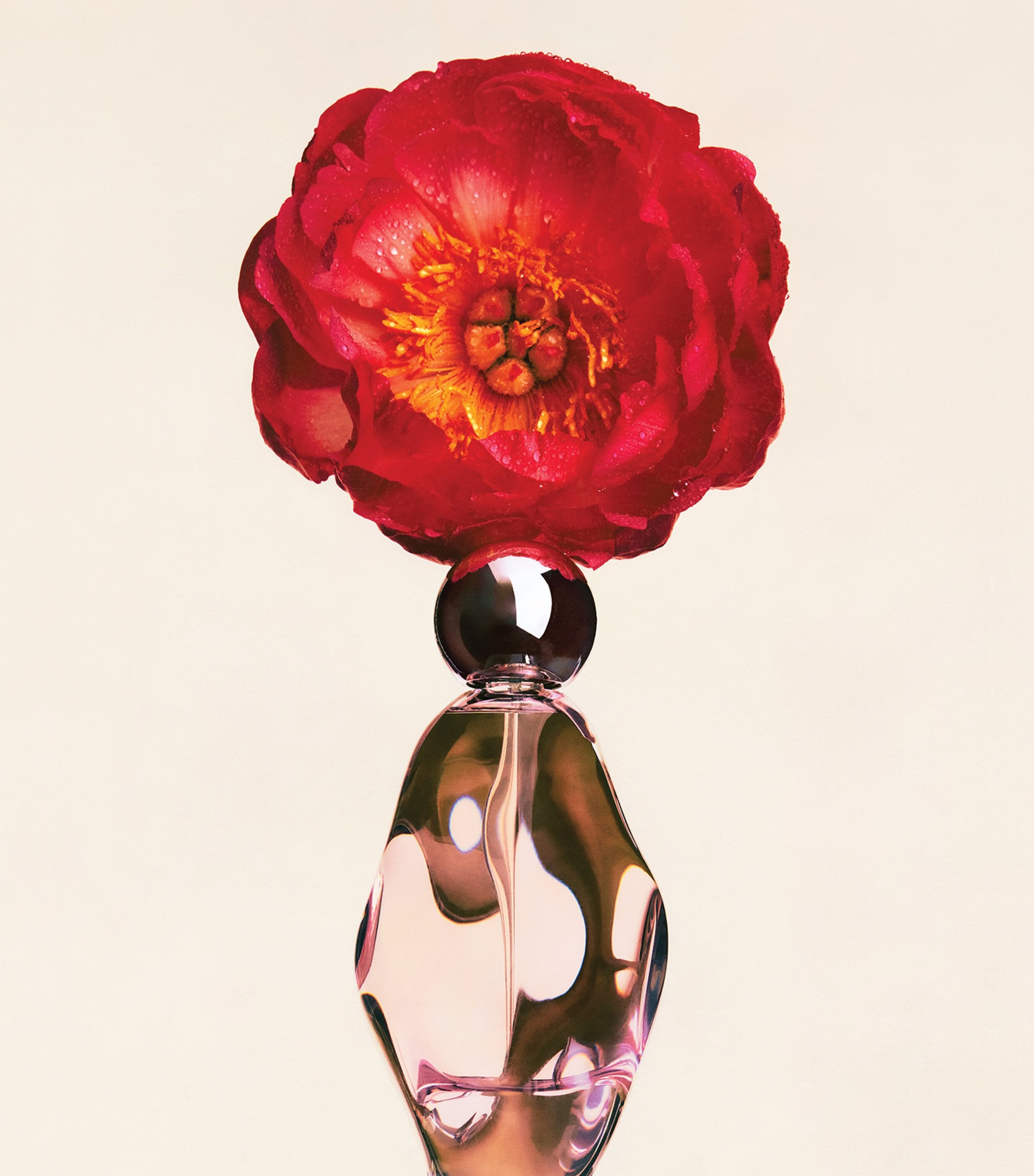 Cosmic by Kylie Jenner Eau De Parfum (100ml) NO COLOUR Image 2