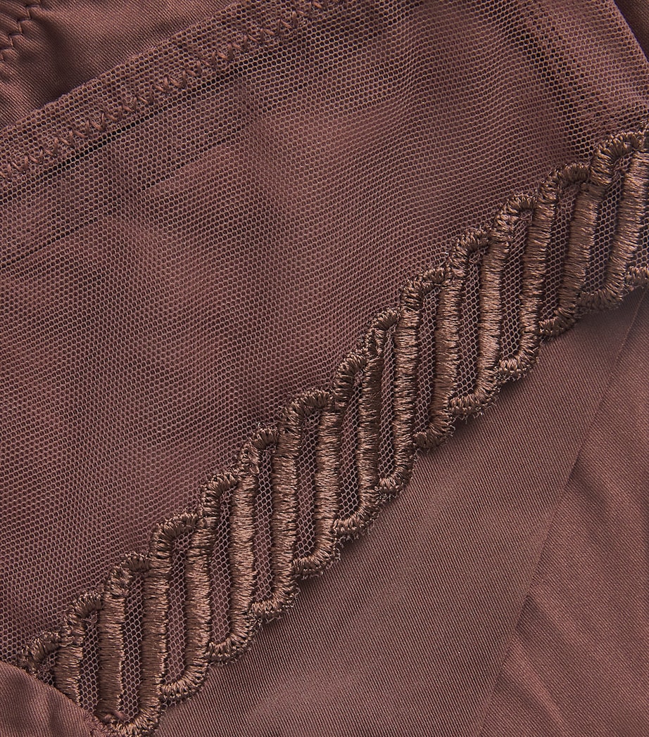 Sheer Emotion Brazilian Briefs SEPIA Image 4