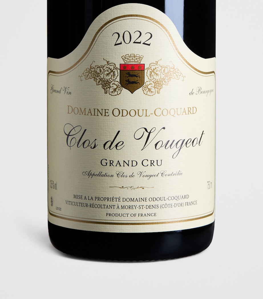 Odoul Coquard Odoul-Coquard Clos de Vougeot Grand Cru 2022 (75cl) - Burgundy, France Image 2