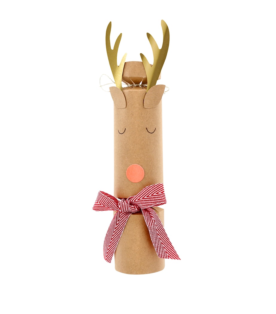 Christmas Crackers (Set of 6) MULTICOLORED Image 4