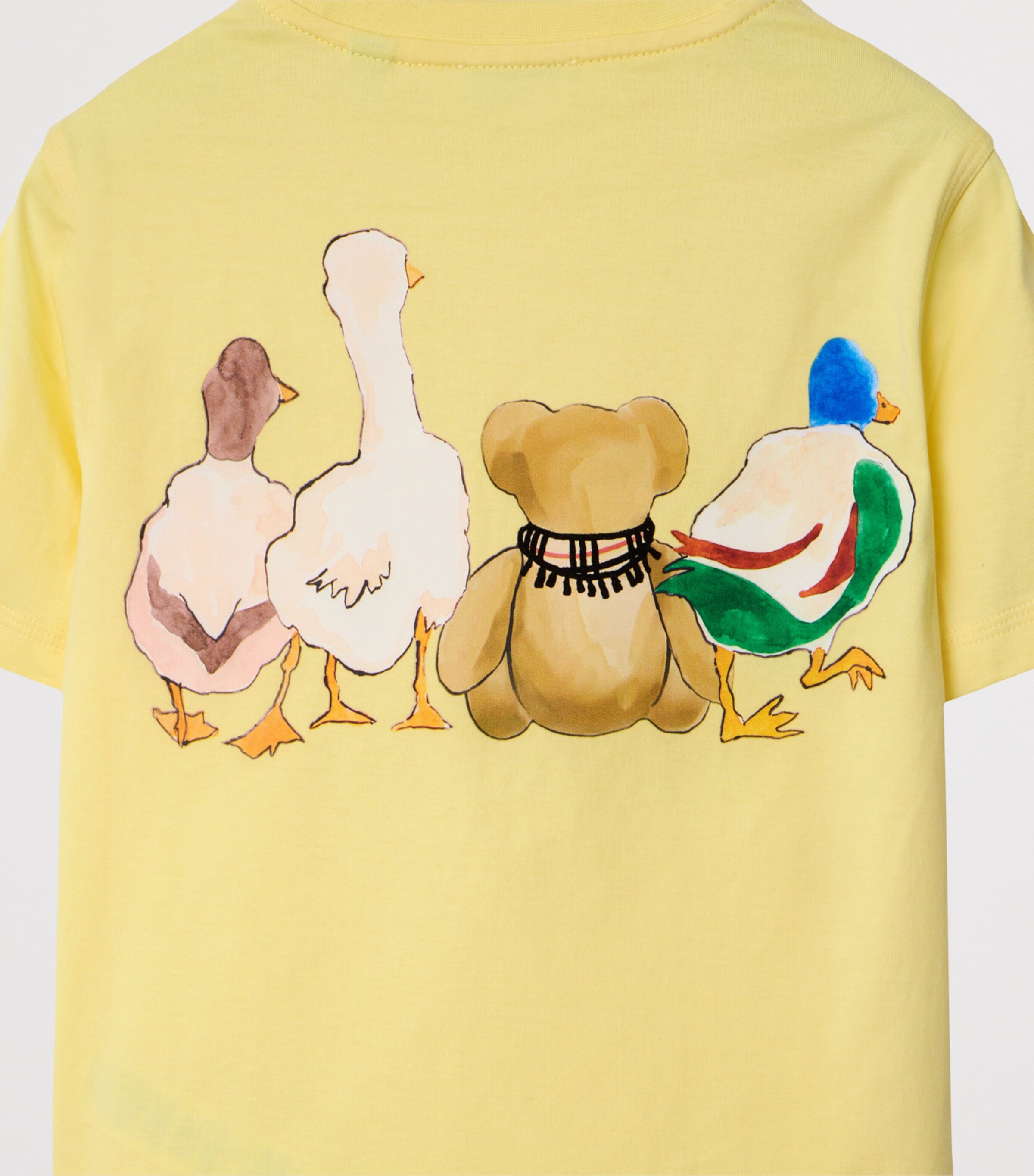 Cotton Thomas Bear and Friends T-Shirt (3-12 Years) SHERBET Image 3