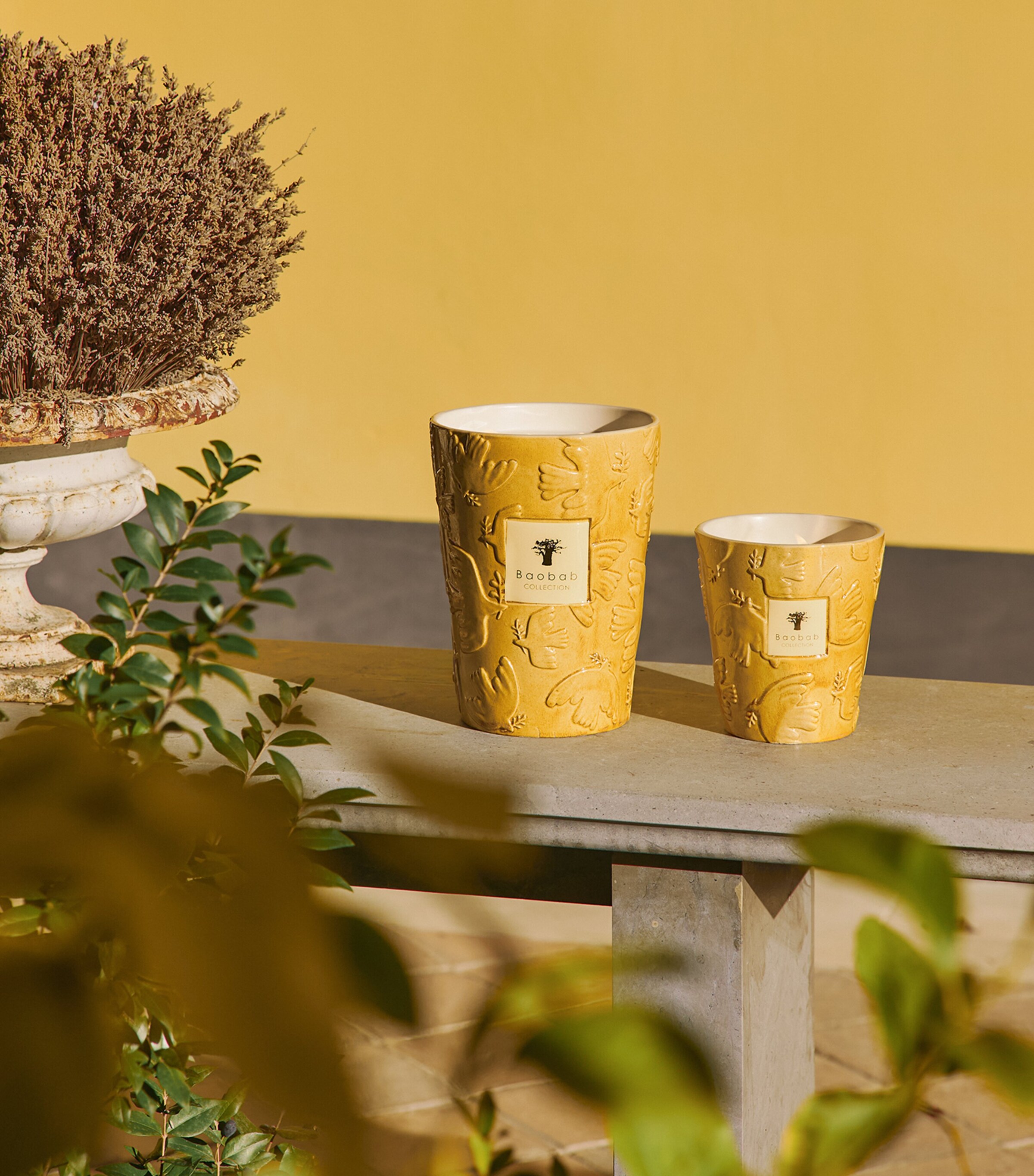Baobab Collection Dove Scented Candle (3kg) Yellow Image 4