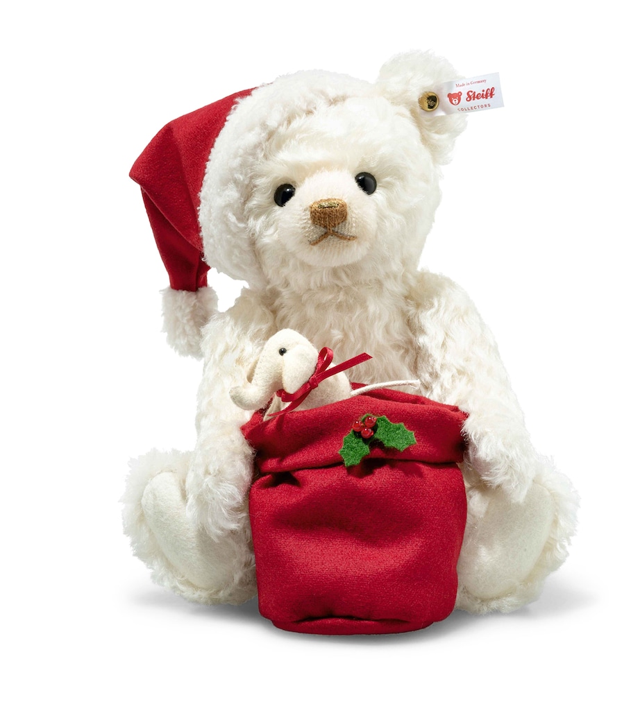 Santa With Light Bear (29cm) MULTI Image 1