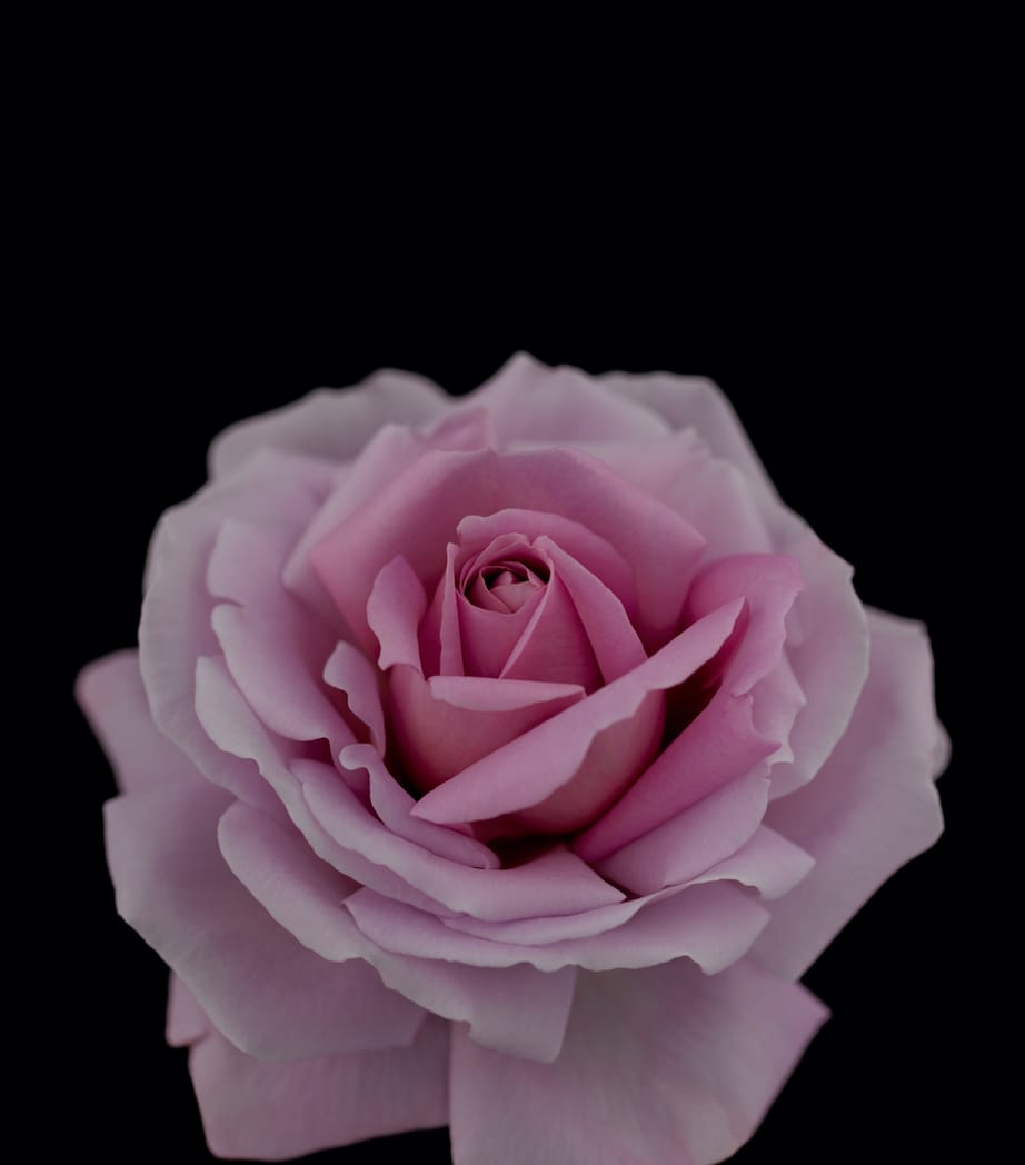 Synactif Eau de Parfum NO COLOUR Image 3