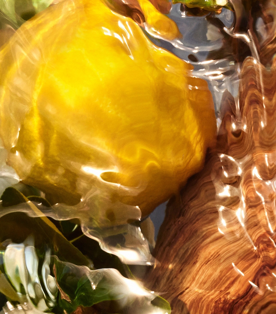 Aqua Allegoria Forte Oud Yuzu Eau de Parfum (200ml) - Refill NO COLOUR Image 2