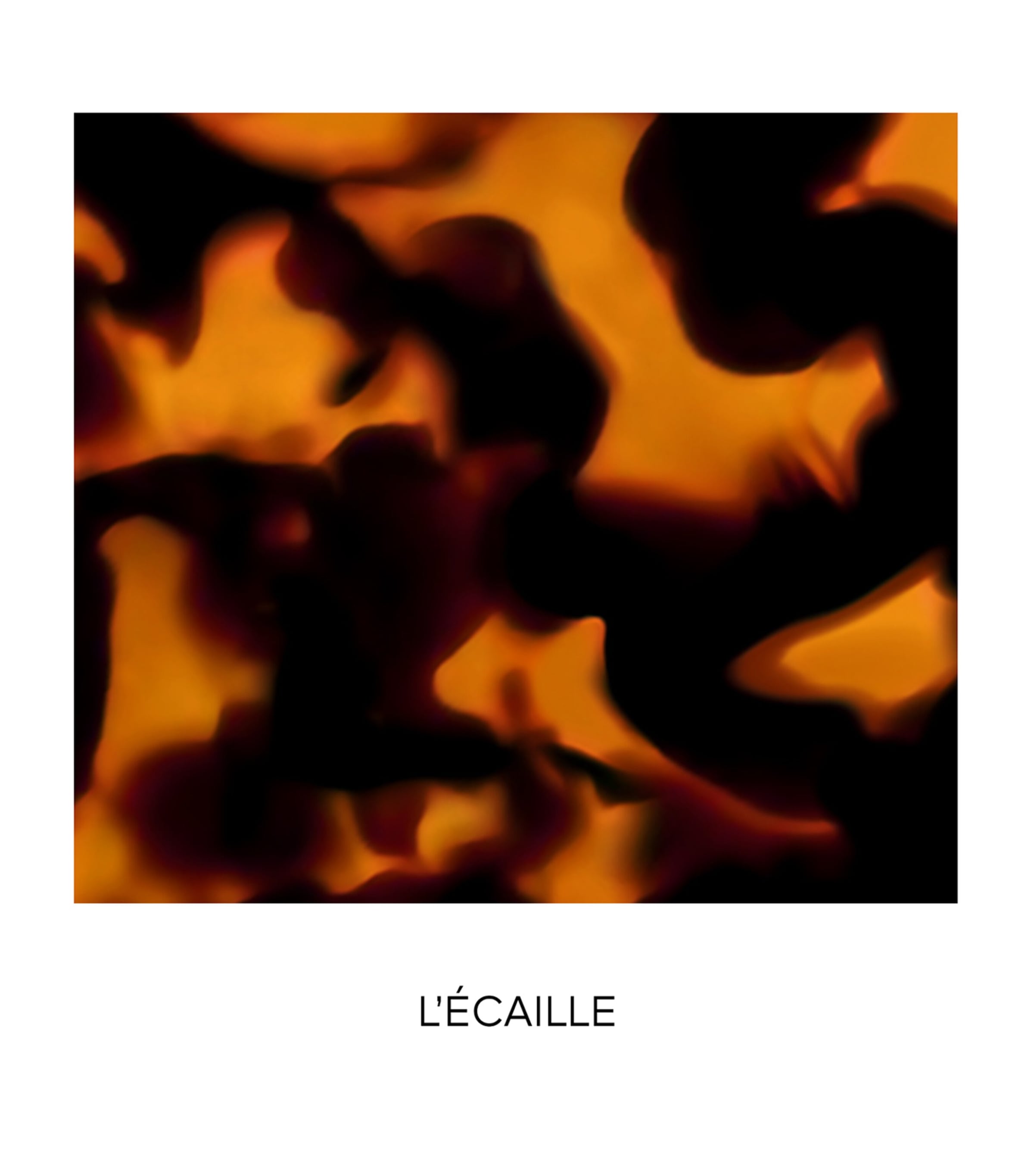 Tortoise-Shell Rouge G Lipstick Case L'ÉCAILLE Image 2