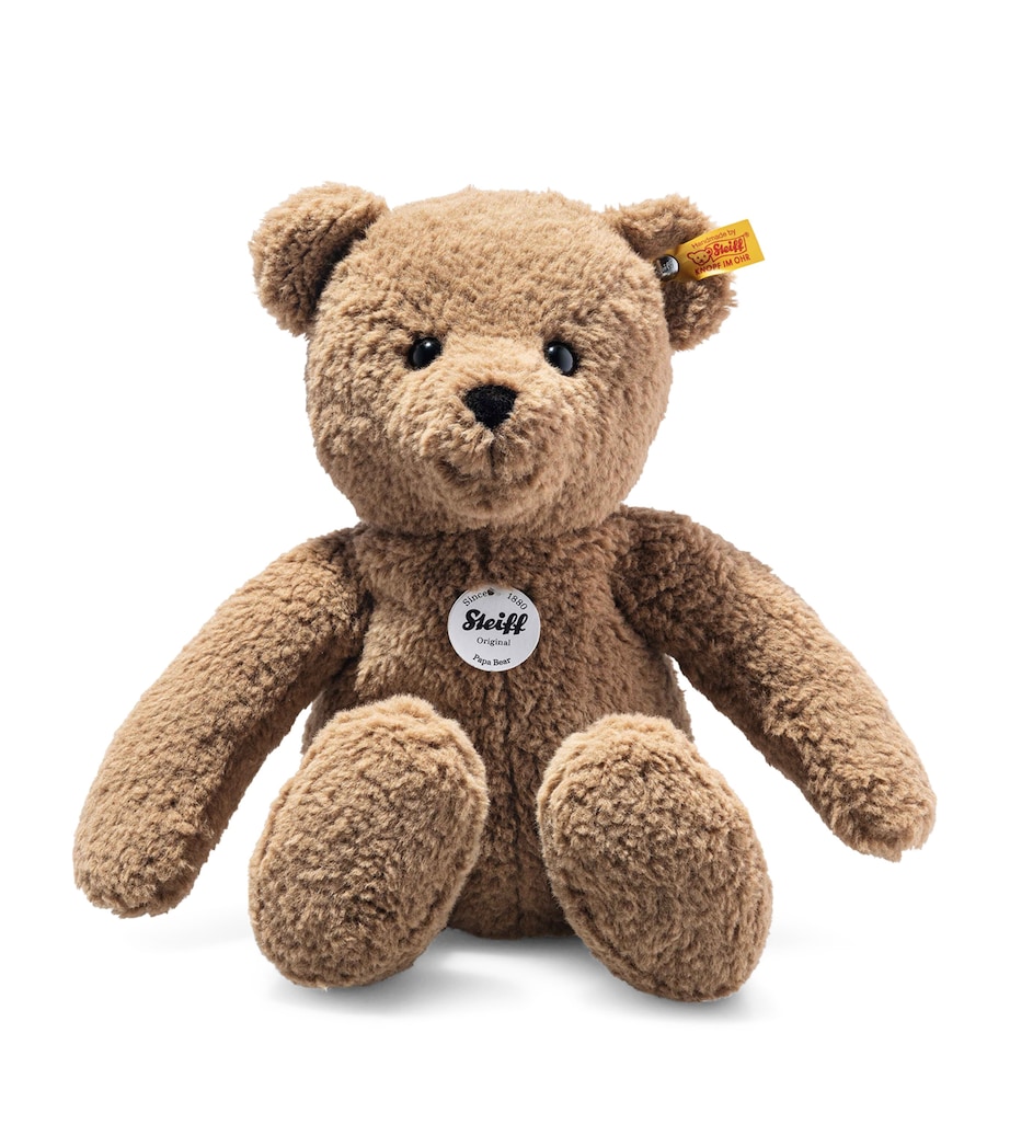 Papa Teddy Bear (36cm) MULTI Image 1