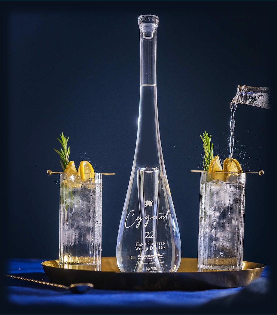 Cygnet 22 Gin (70cl) NO COLOUR Image 2