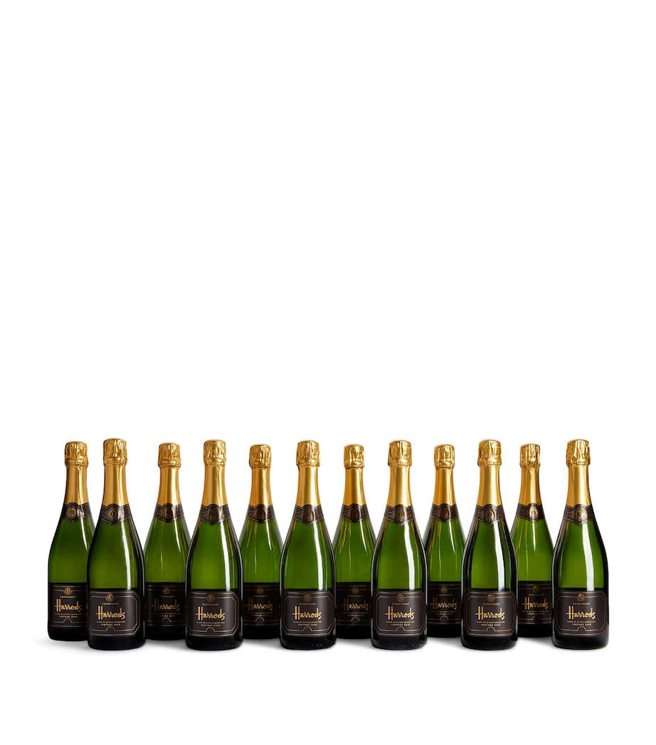 Blanc de Blancs Grand Cru Vintage Champagne 2013 (12 Bottles) - Champagne, France WHITE Image 3