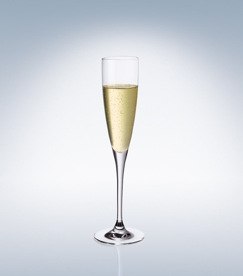 Set of 4 Maxima Champagne Flutes (120ml) MULTI Image 4