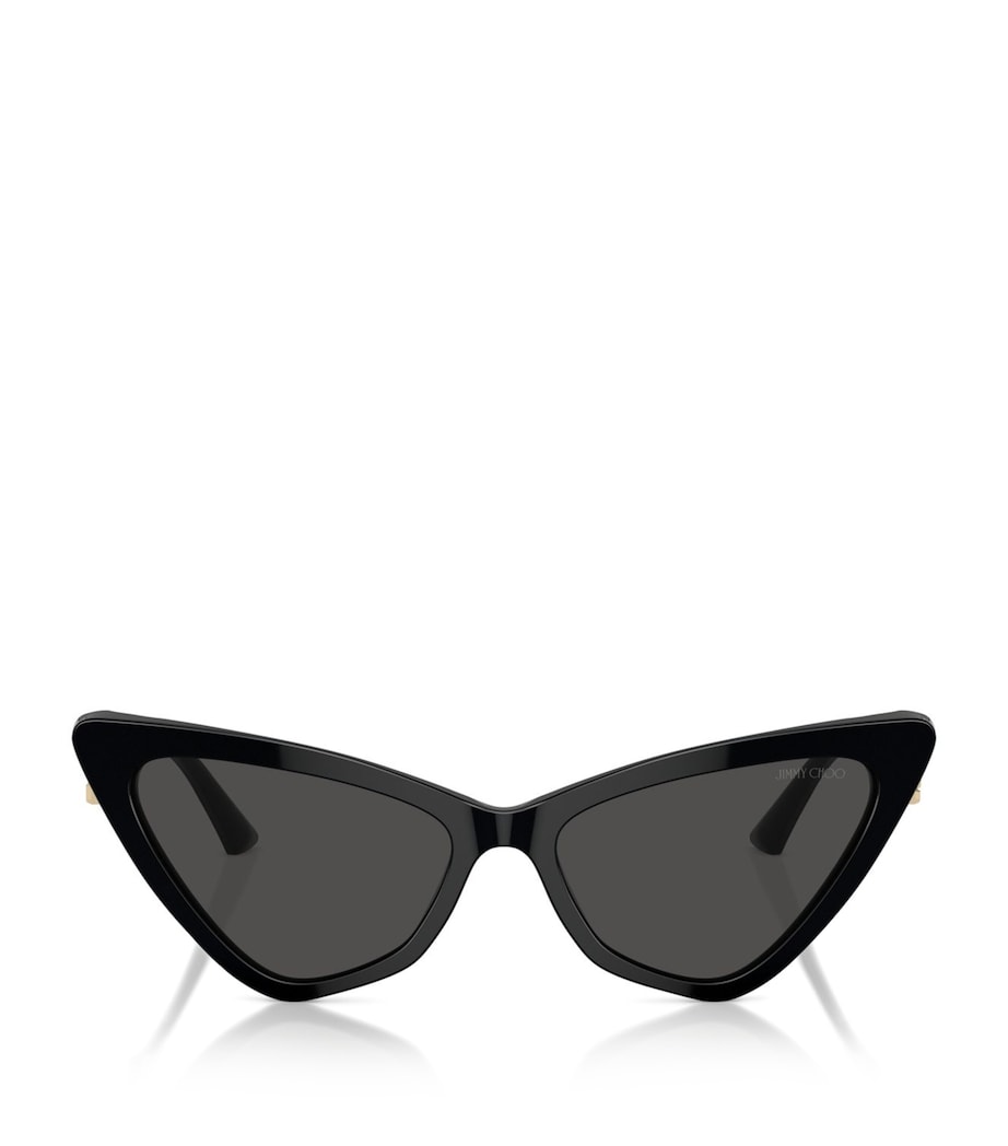 Acetate JC5008 Sunglasses 500087 Image 1
